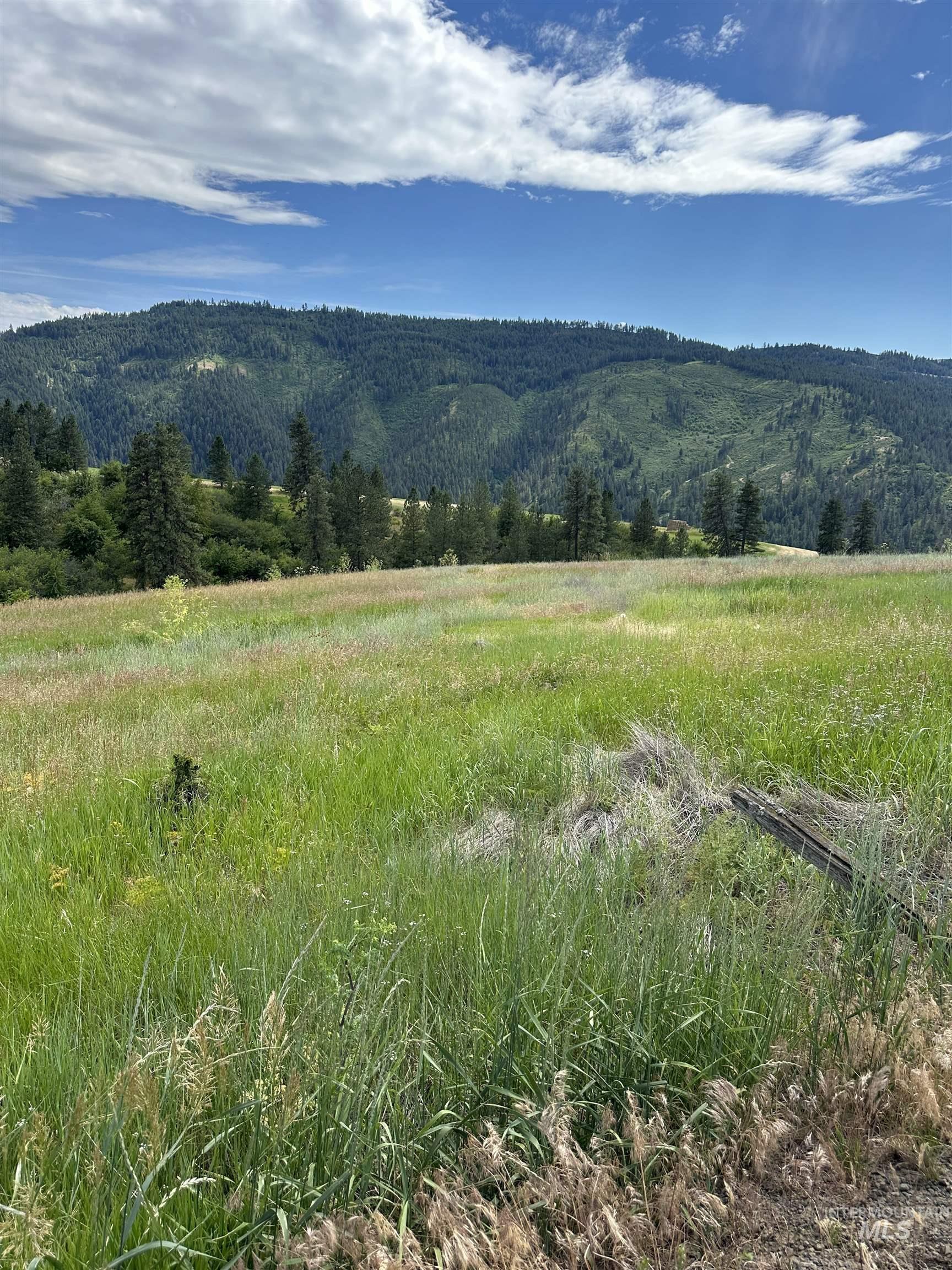 NKA Sunnyside Bench Rd., Lenore, Idaho 83541-000, Land For Sale, Price $110,500, 98944061