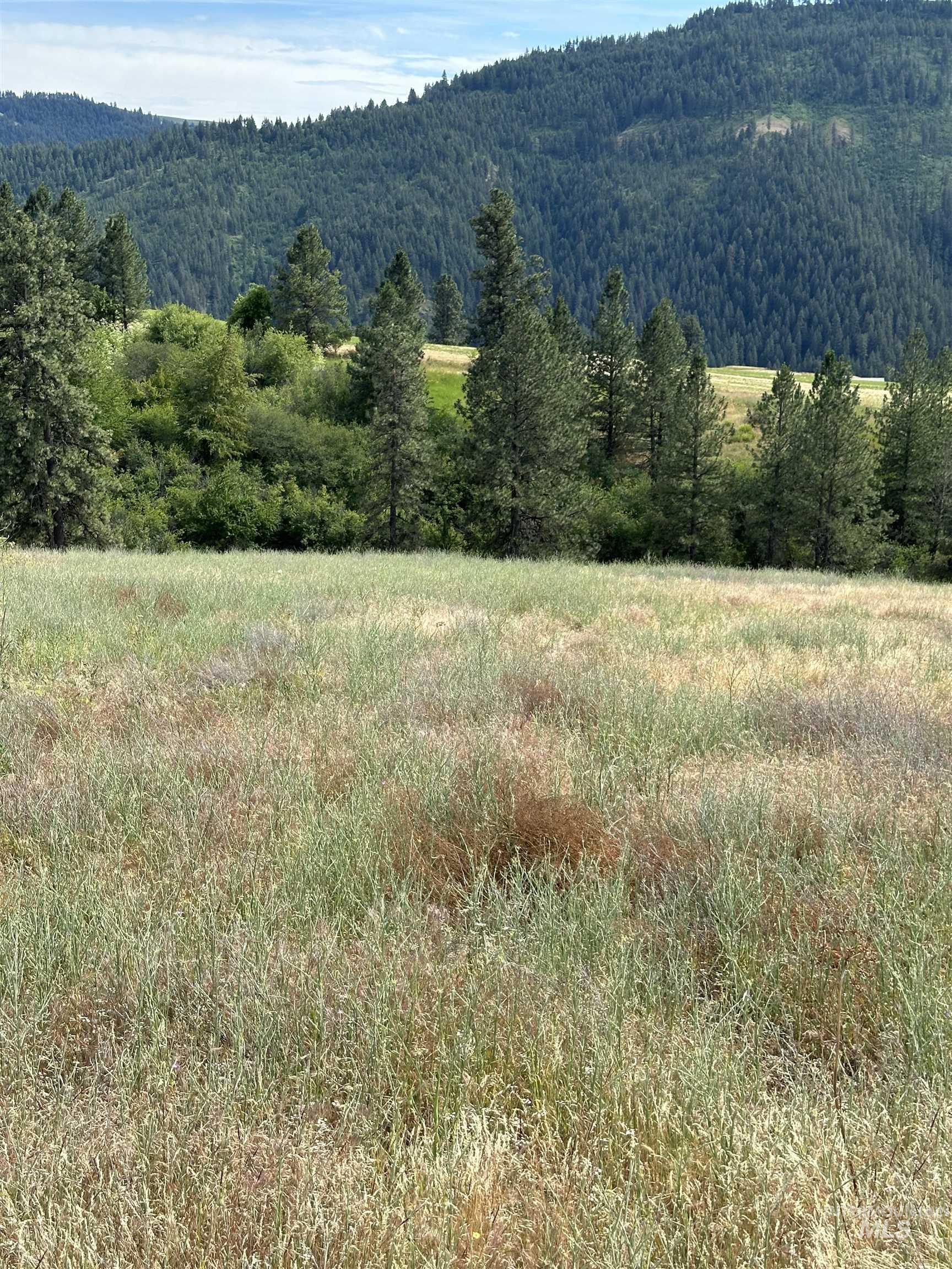 NKA Sunnyside Bench Rd., Lenore, Idaho 83541-000, Land For Sale, Price $110,500, 98944061