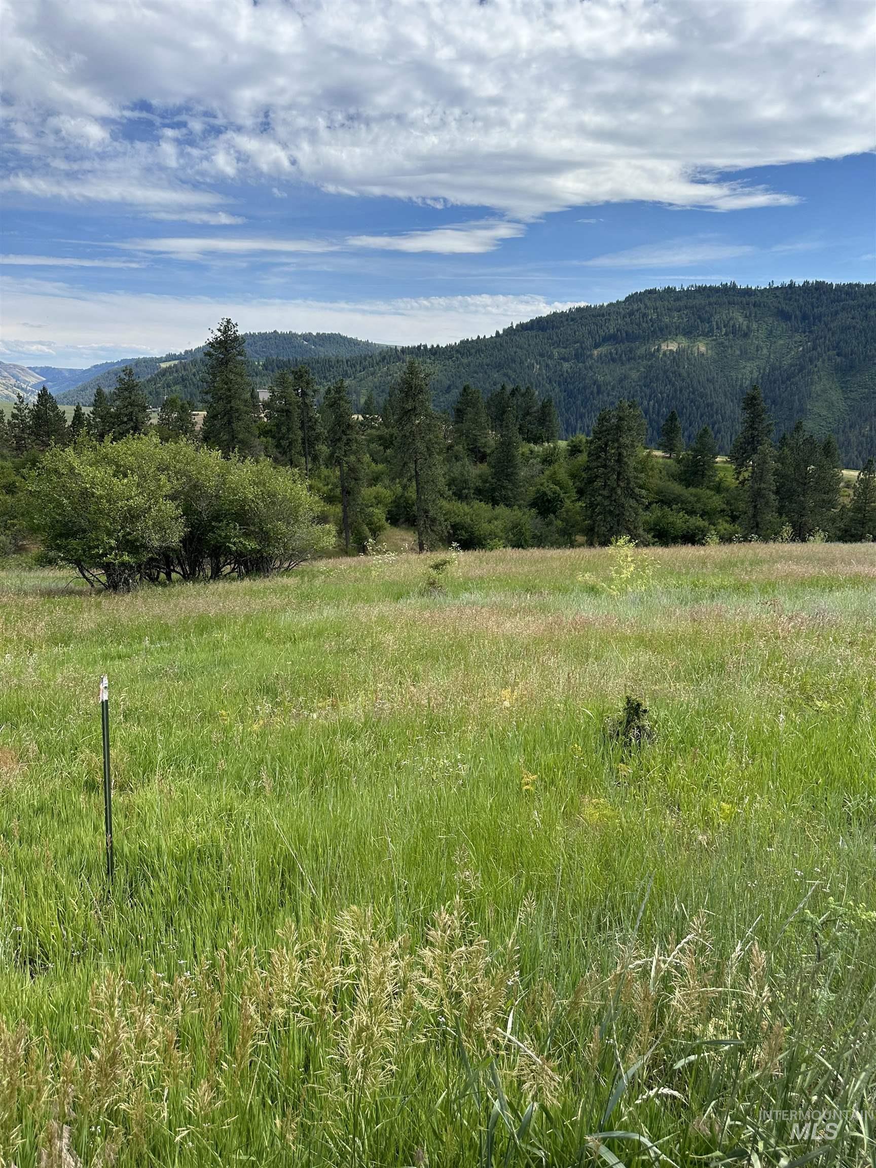 NKA Sunnyside Bench Rd., Lenore, Idaho 83541-000, Land For Sale, Price $110,500, 98944061
