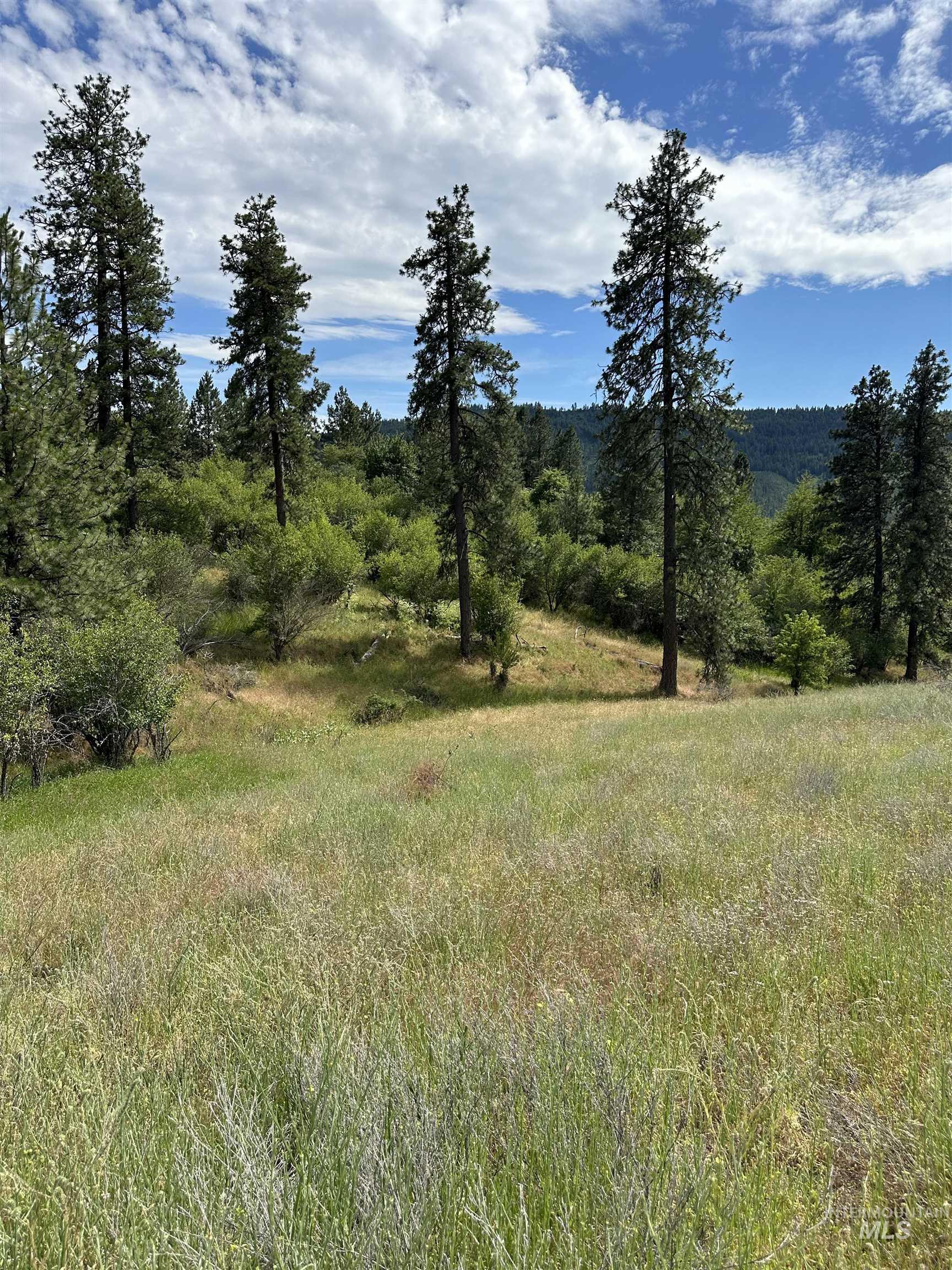 NKA Sunnyside Bench Rd., Lenore, Idaho 83541-000, Land For Sale, Price $110,500, 98944061