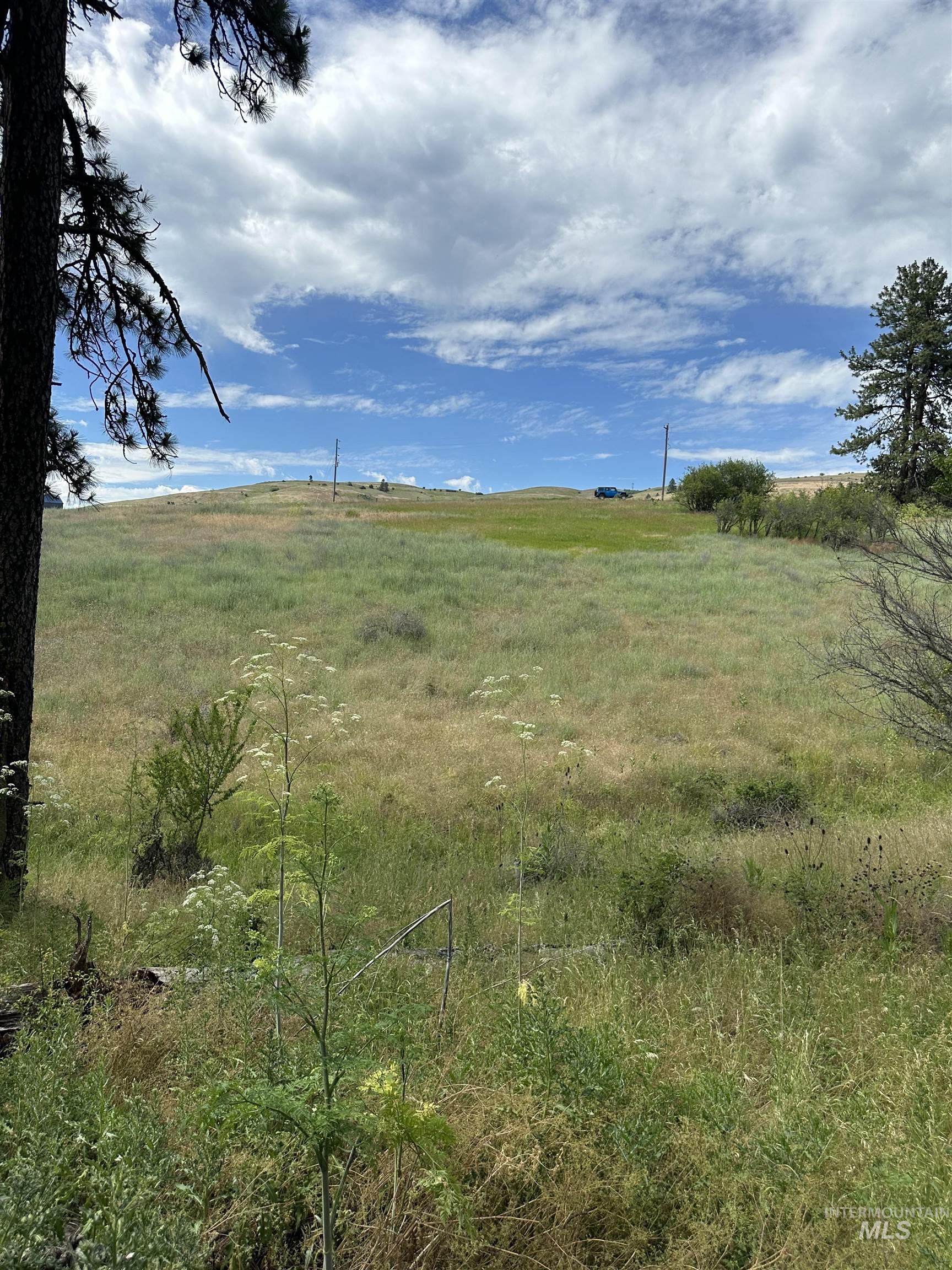 NKA Sunnyside Bench Rd., Lenore, Idaho 83541-000, Land For Sale, Price $110,500, 98944061