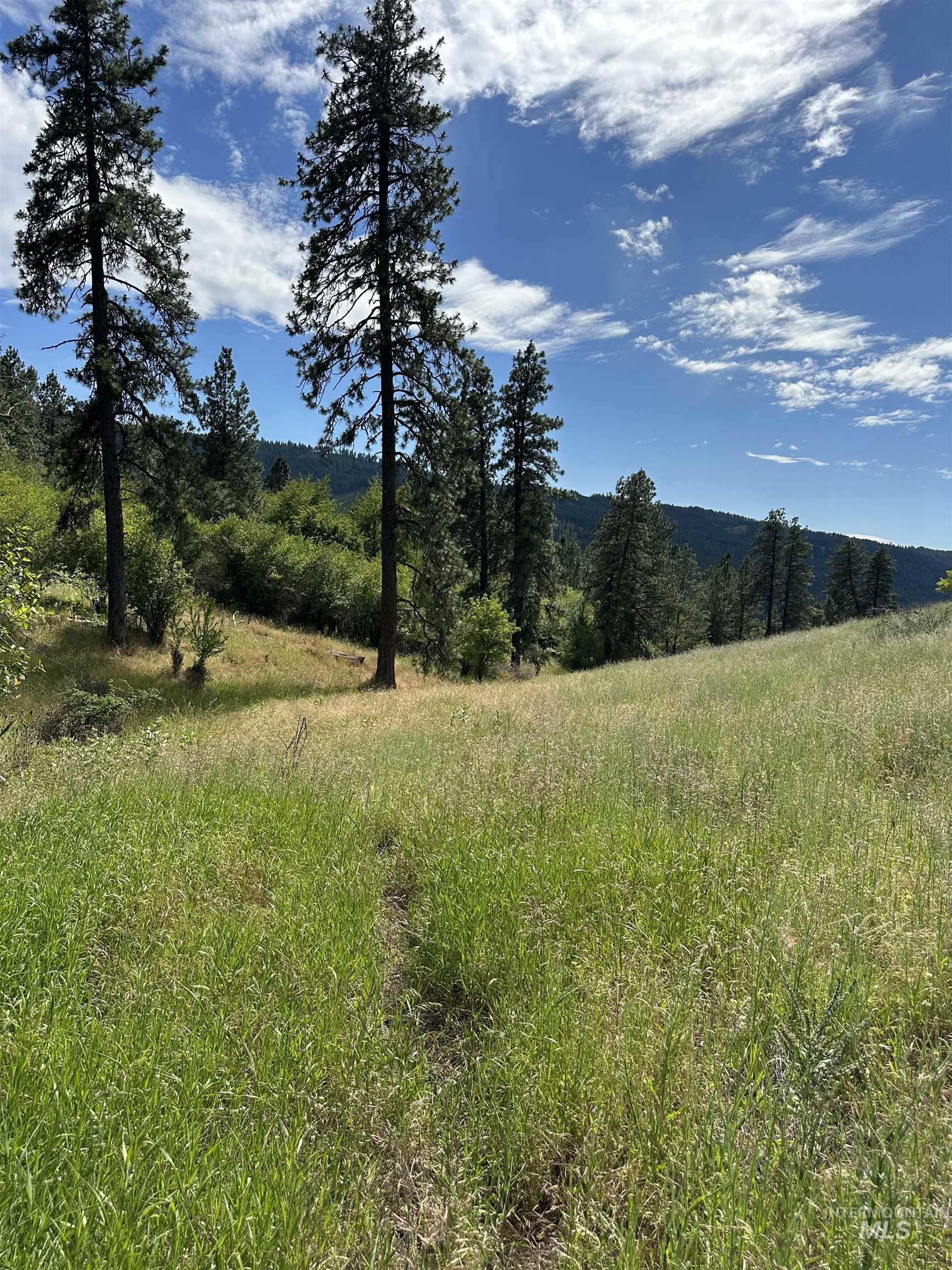 NKA Sunnyside Bench Rd., Lenore, Idaho 83541-000, Land For Sale, Price $110,500, 98944061