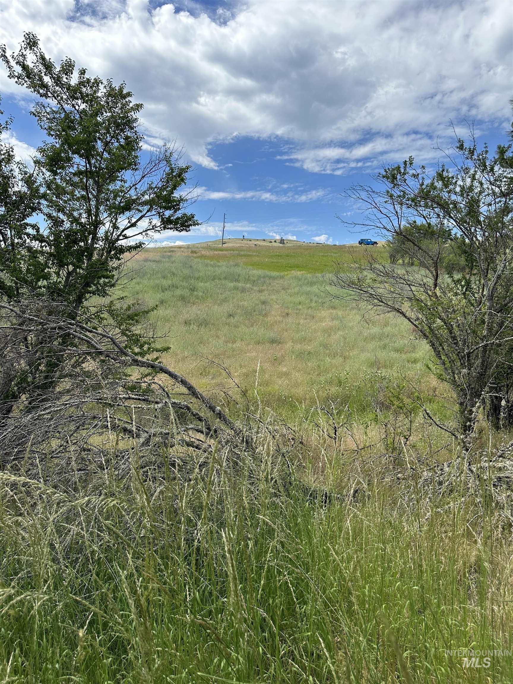 NKA Sunnyside Bench Rd., Lenore, Idaho 83541-000, Land For Sale, Price $110,500, 98944061