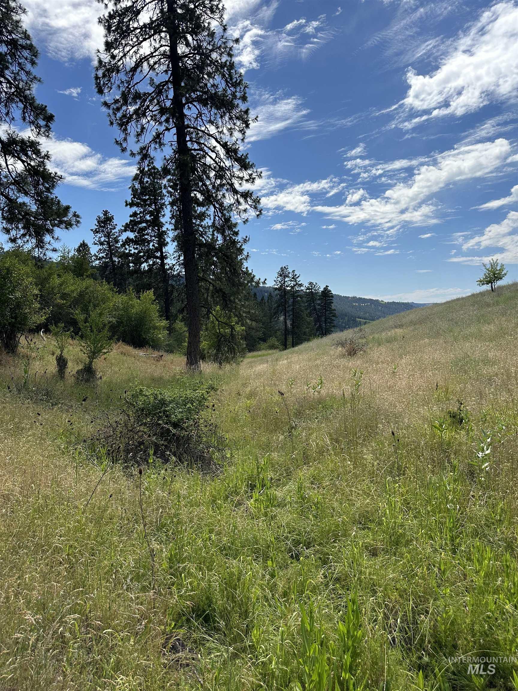 NKA Sunnyside Bench Rd., Lenore, Idaho 83541-000, Land For Sale, Price $110,500, 98944061