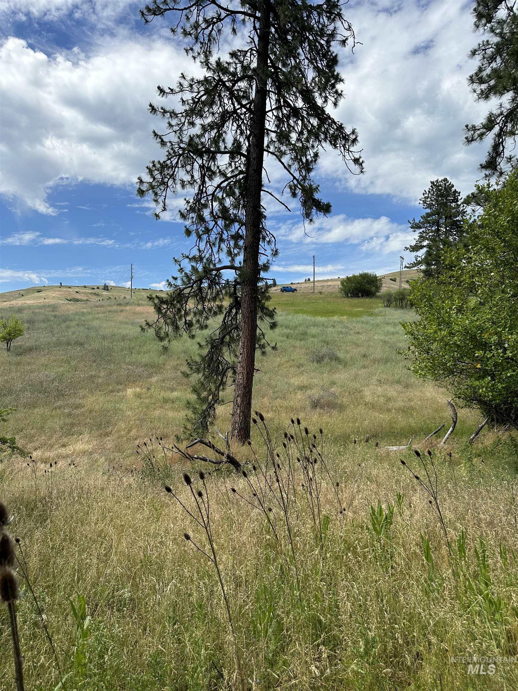 NKA Sunnyside Bench Rd., Lenore, Idaho 83541-000, Land For Sale, Price $110,500, 98944061