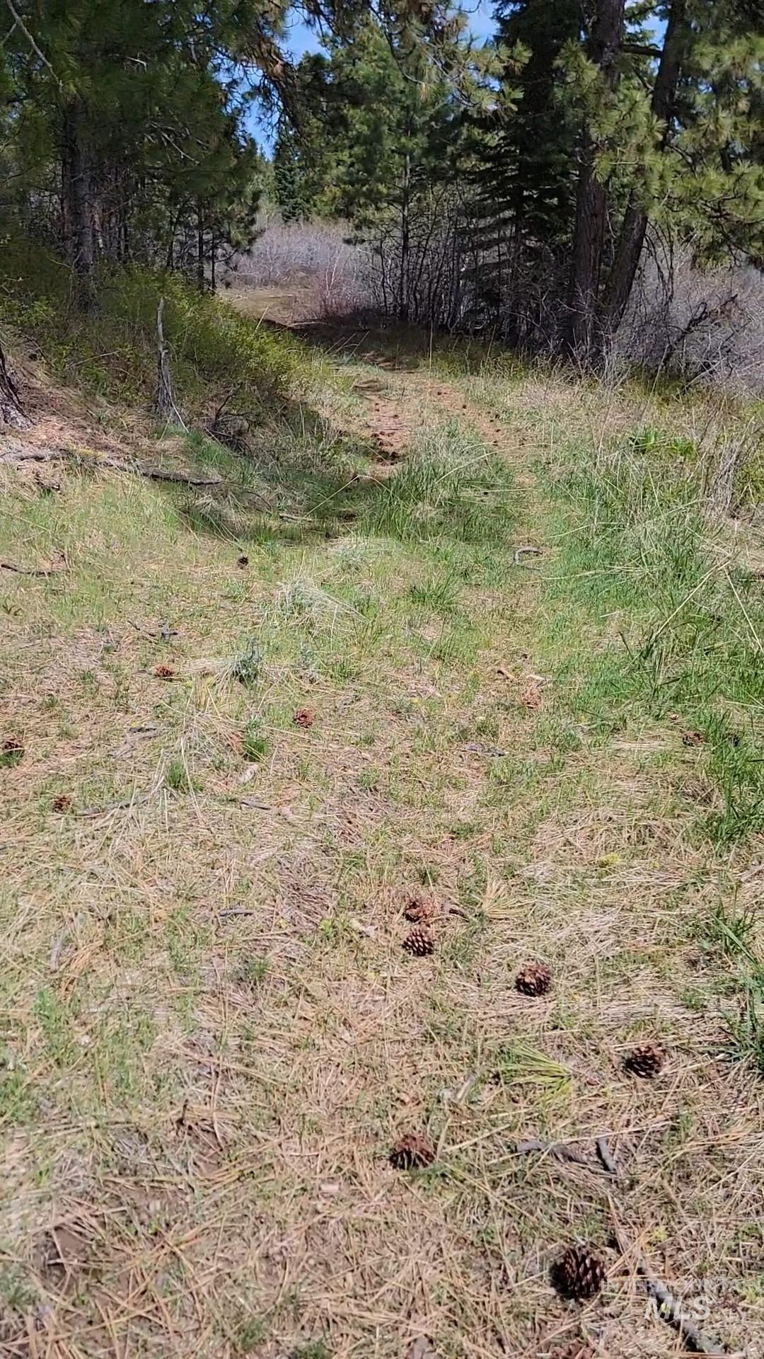 TBD TBD, Cambridge, Idaho 83610, Land For Sale, Price $252,000, 98944070