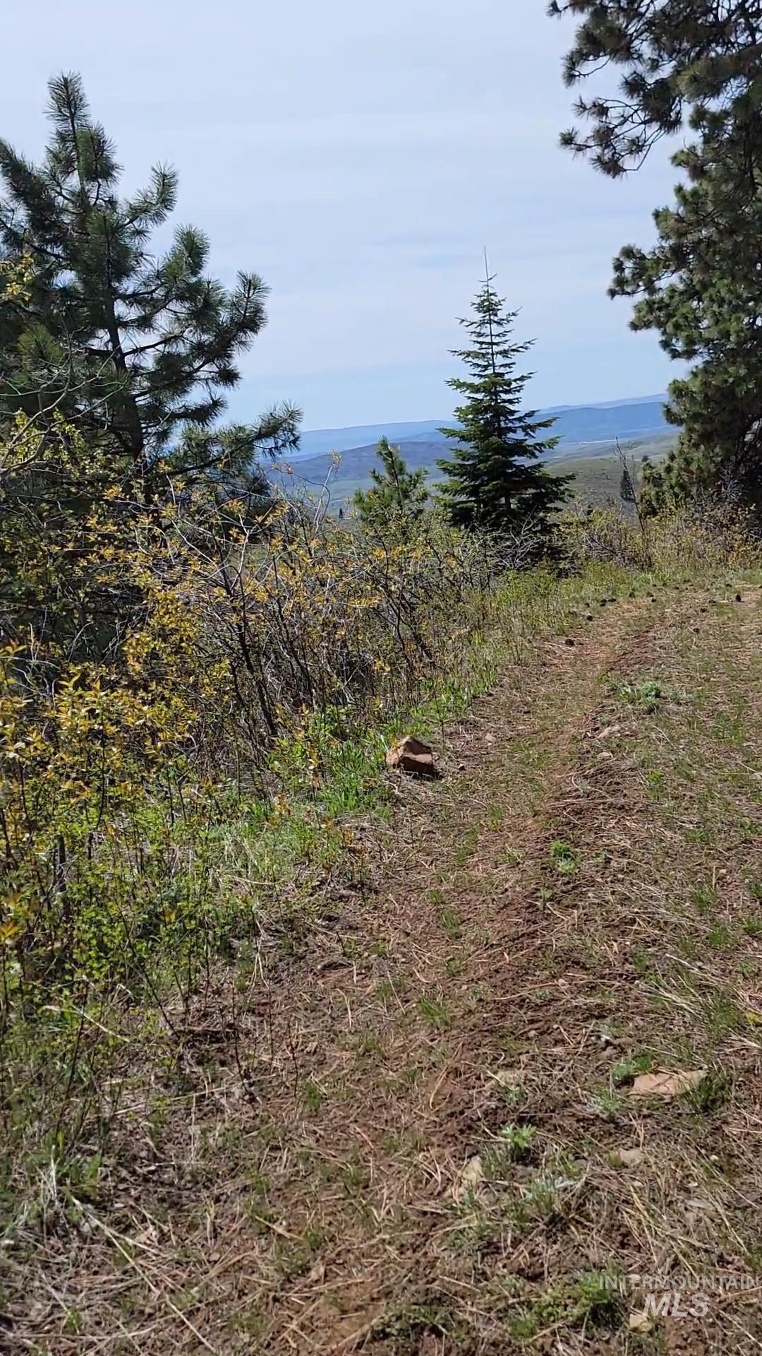 TBD TBD, Cambridge, Idaho 83610, Land For Sale, Price $252,000, 98944070