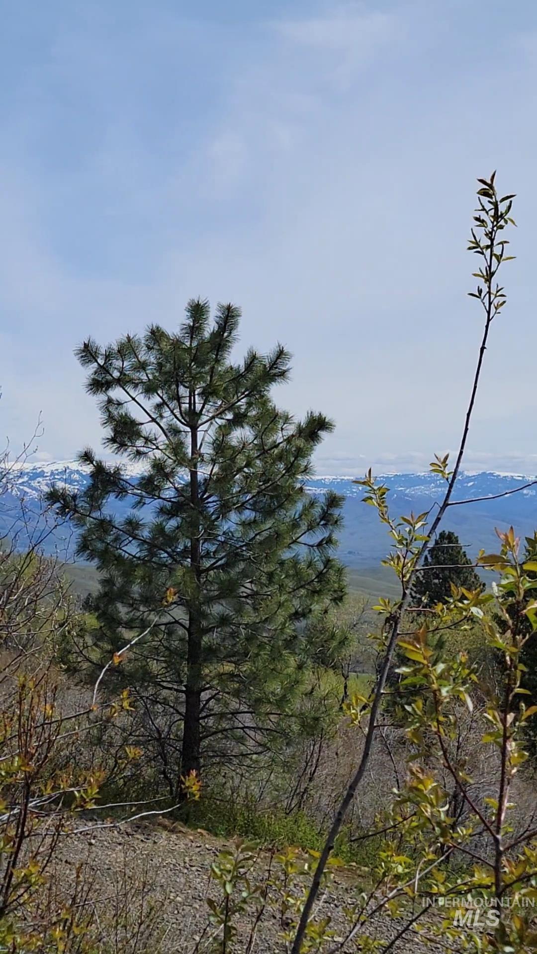 TBD TBD, Cambridge, Idaho 83610, Land For Sale, Price $252,000, 98944070