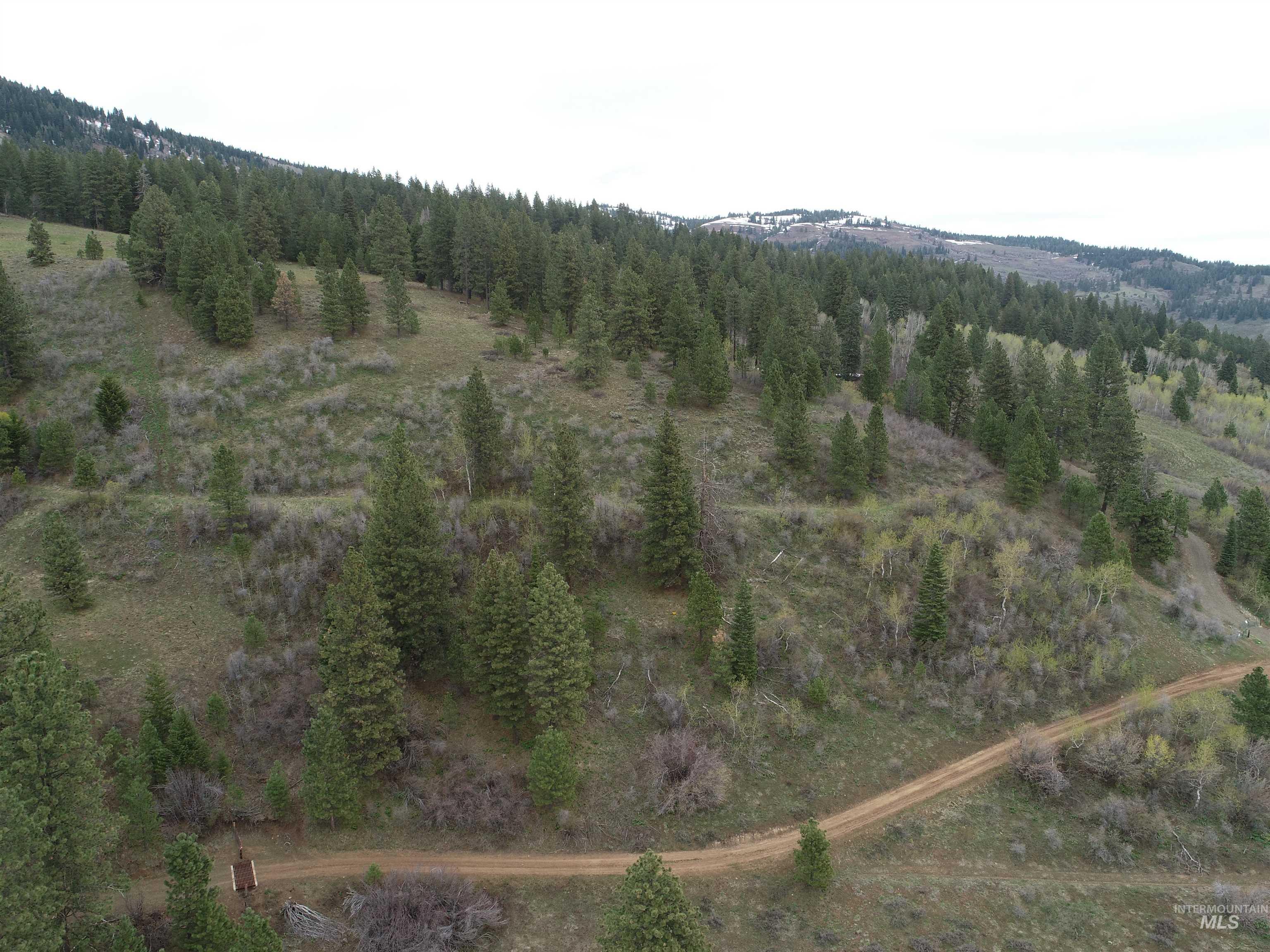 TBD TBD, Cambridge, Idaho 83610, Land For Sale, Price $252,000, 98944070