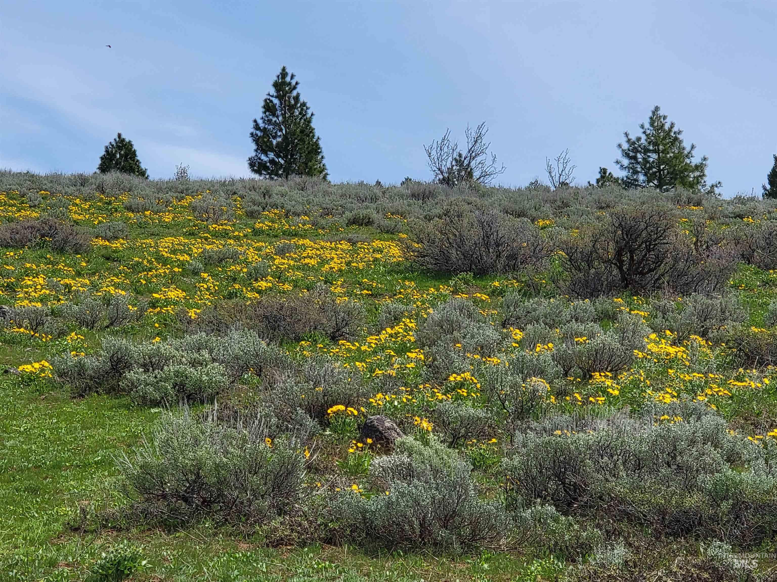 TBD TBD, Cambridge, Idaho 83610, Land For Sale, Price $252,000, 98944070