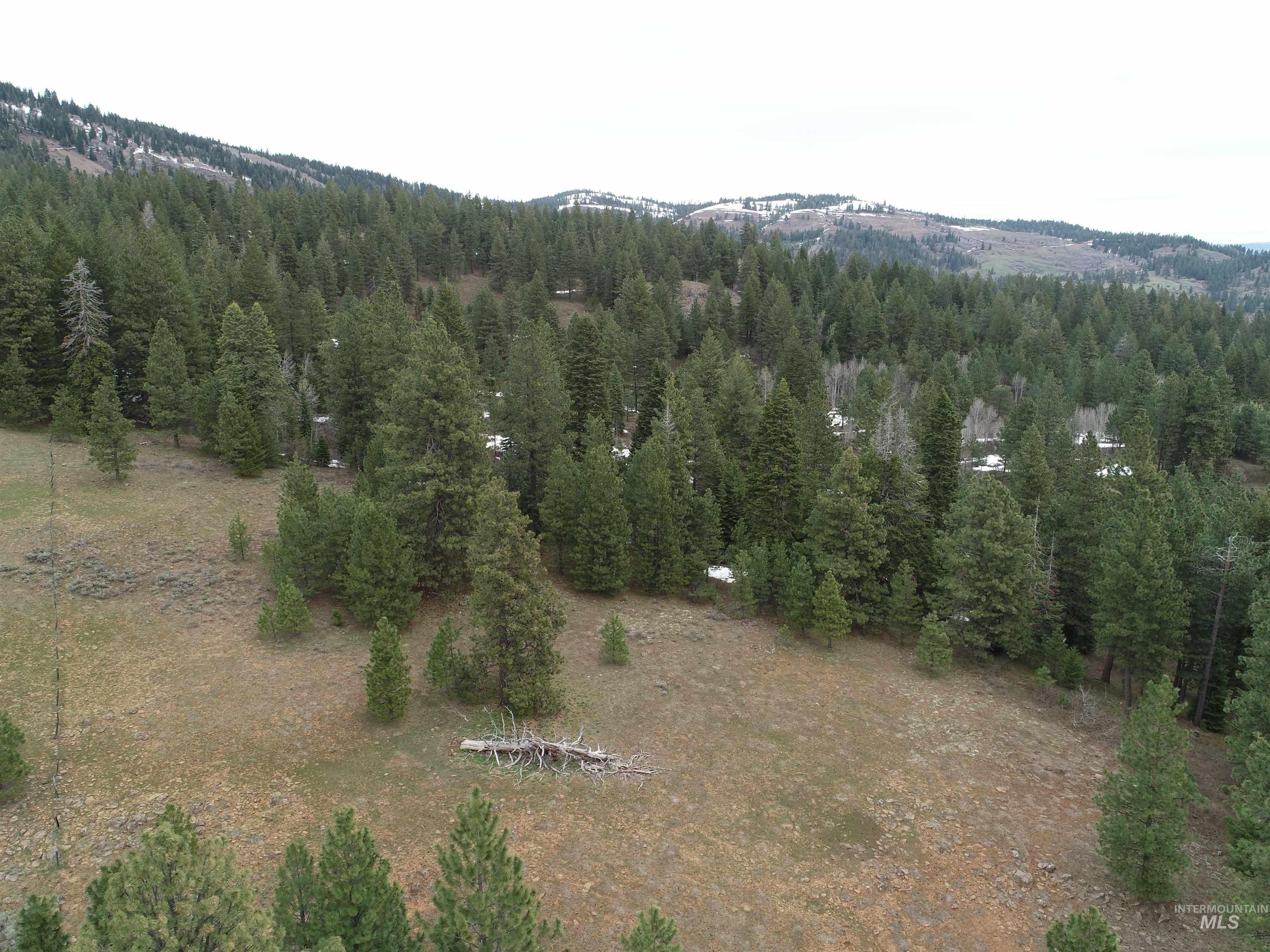 TBD TBD, Cambridge, Idaho 83610, Land For Sale, Price $252,000, 98944070