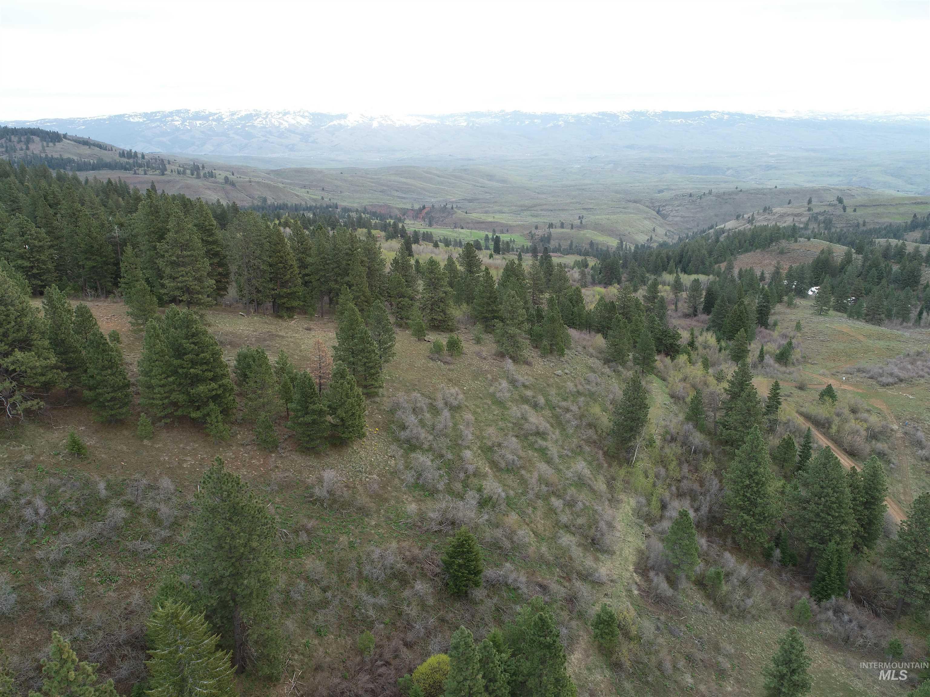 TBD TBD, Cambridge, Idaho 83610, Land For Sale, Price $252,000, 98944070