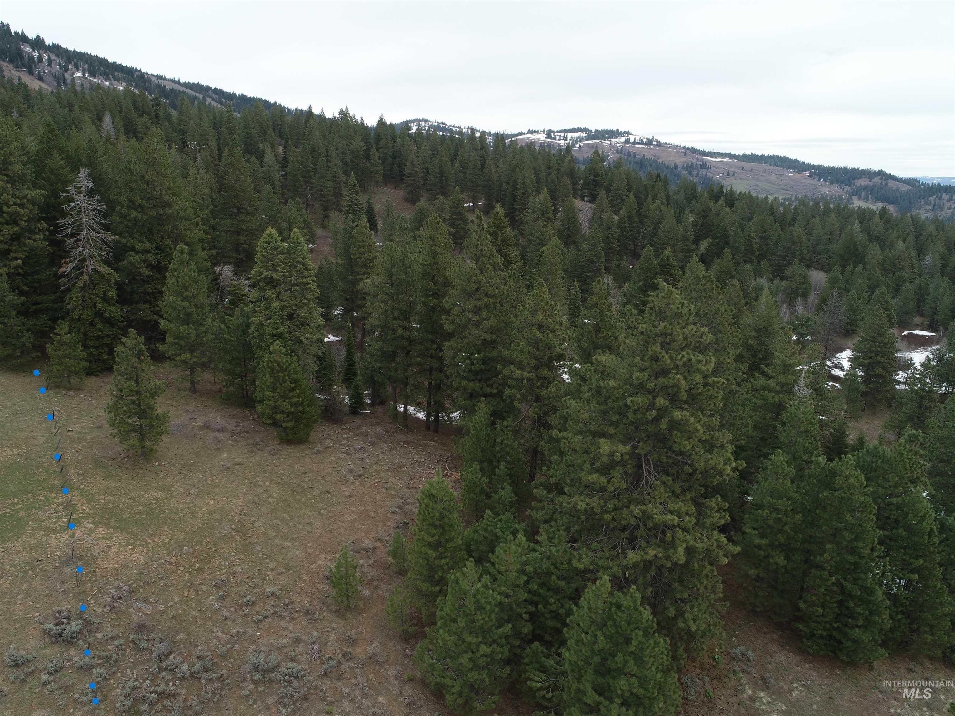 TBD TBD, Cambridge, Idaho 83610, Land For Sale, Price $252,000, 98944070