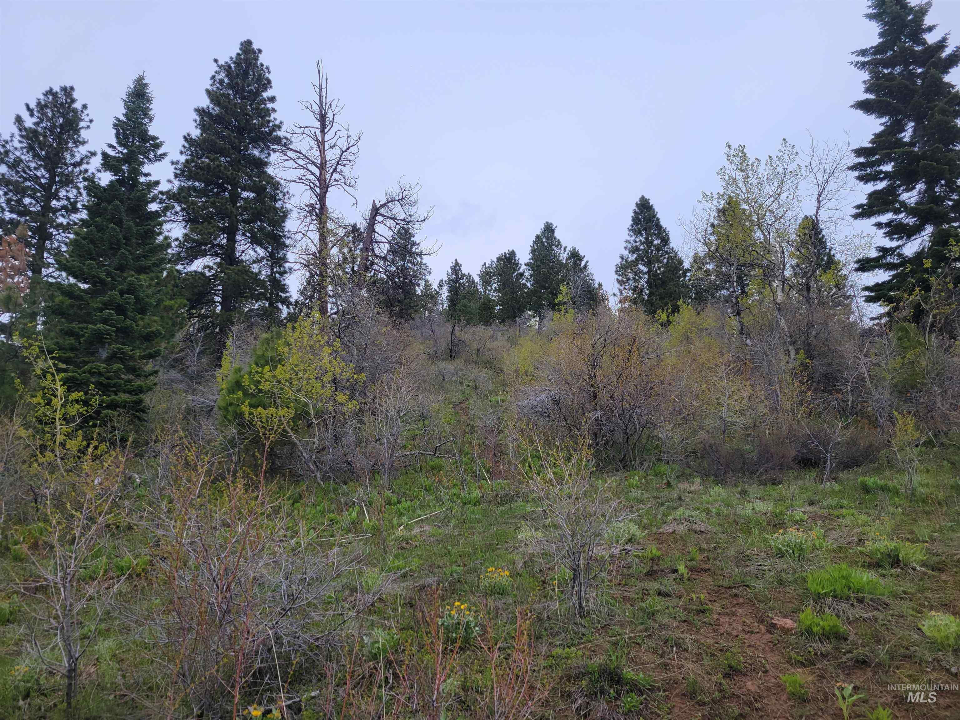 TBD TBD, Cambridge, Idaho 83610, Land For Sale, Price $252,000, 98944070
