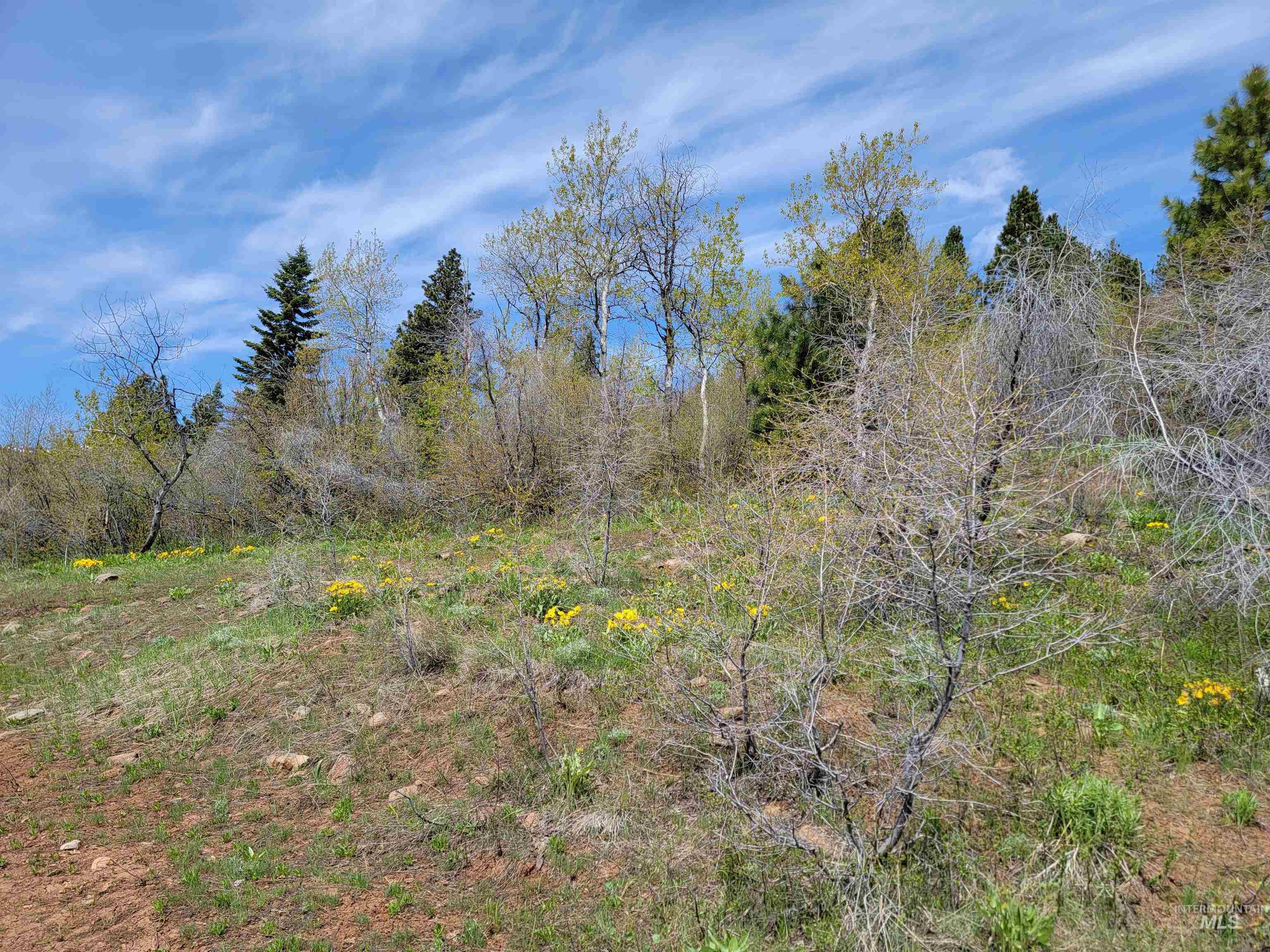 TBD TBD, Cambridge, Idaho 83610, Land For Sale, Price $252,000, 98944070