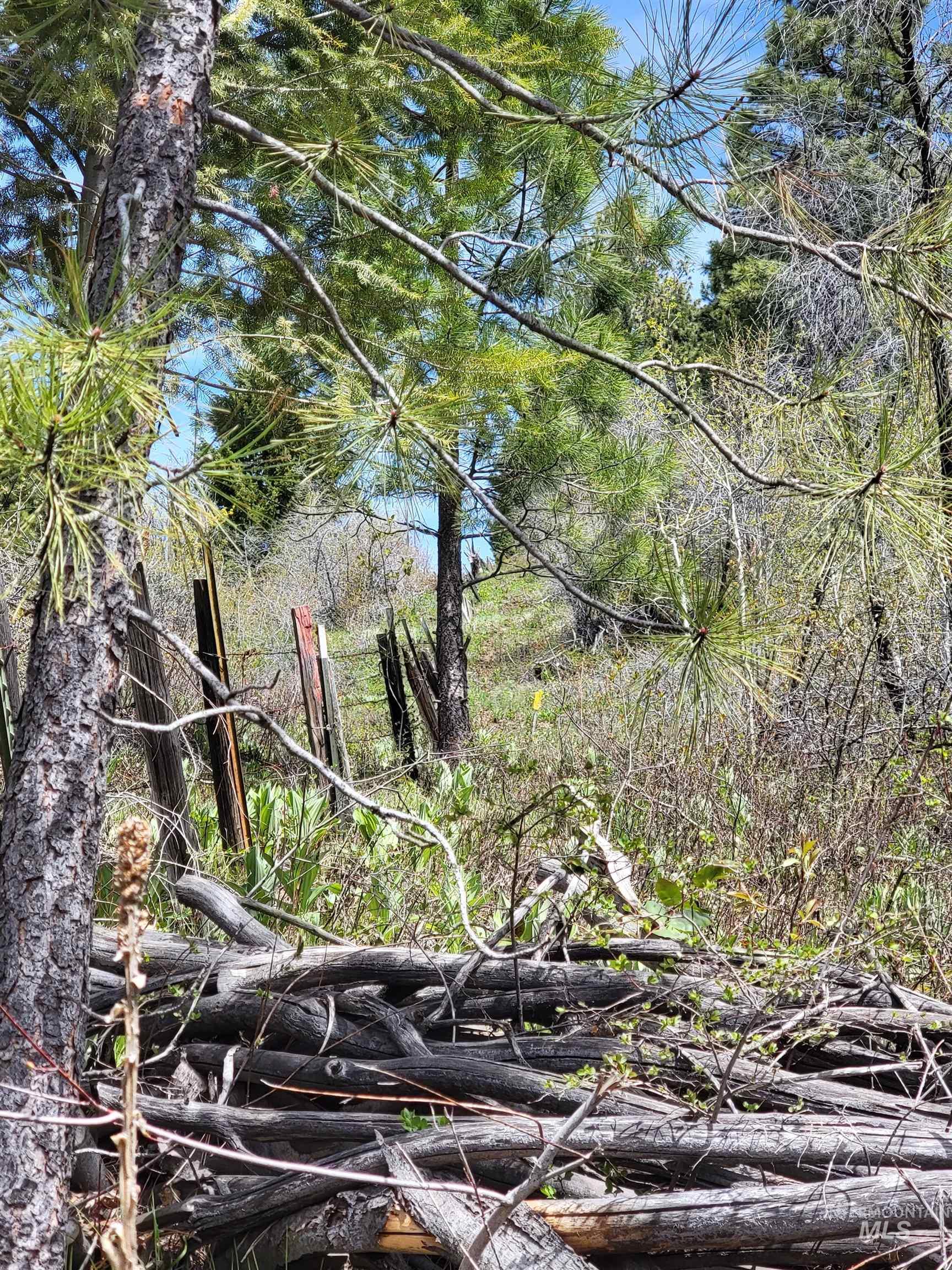 TBD TBD, Cambridge, Idaho 83610, Land For Sale, Price $252,000, 98944070