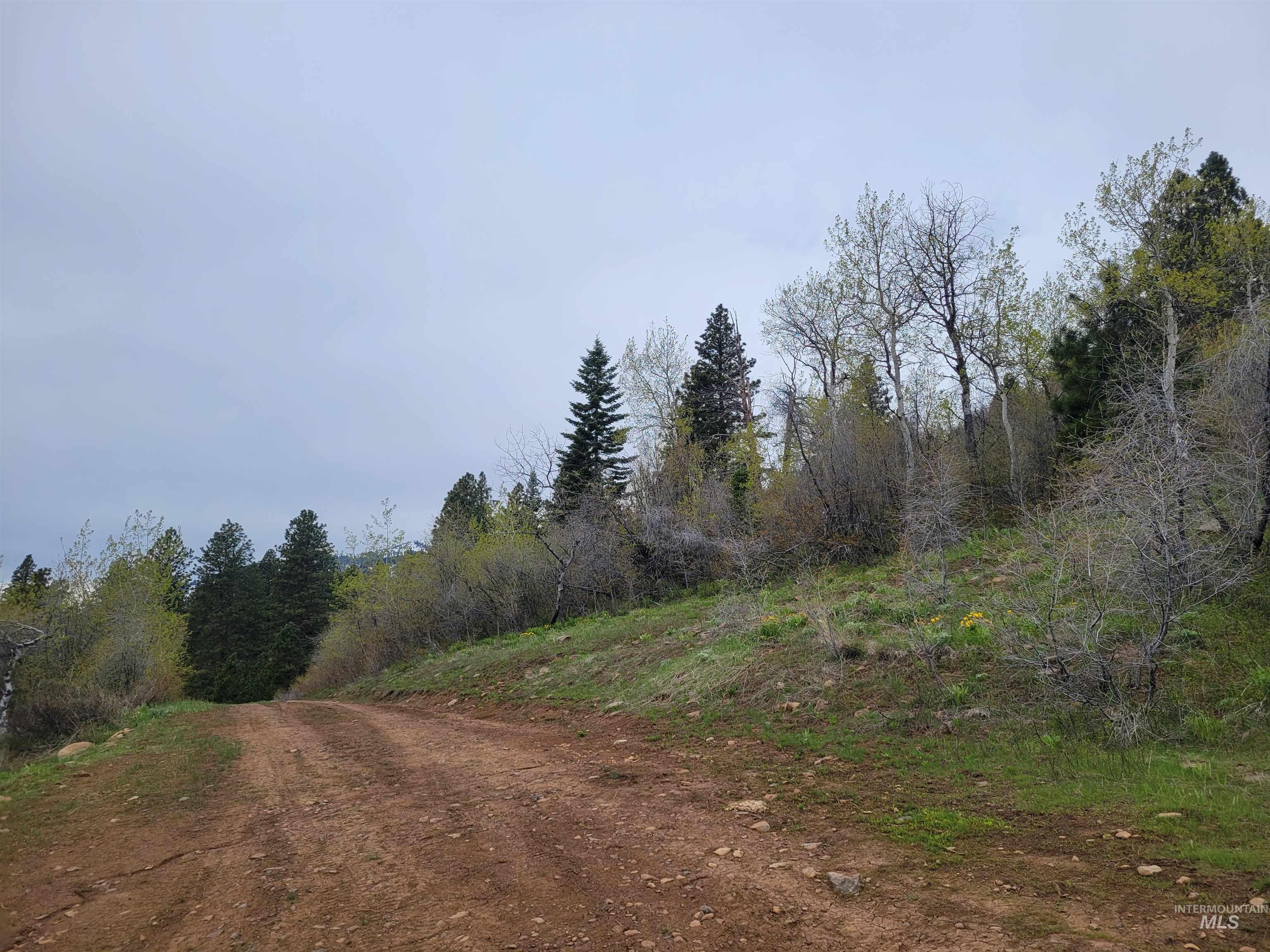 TBD TBD, Cambridge, Idaho 83610, Land For Sale, Price $252,000, 98944070