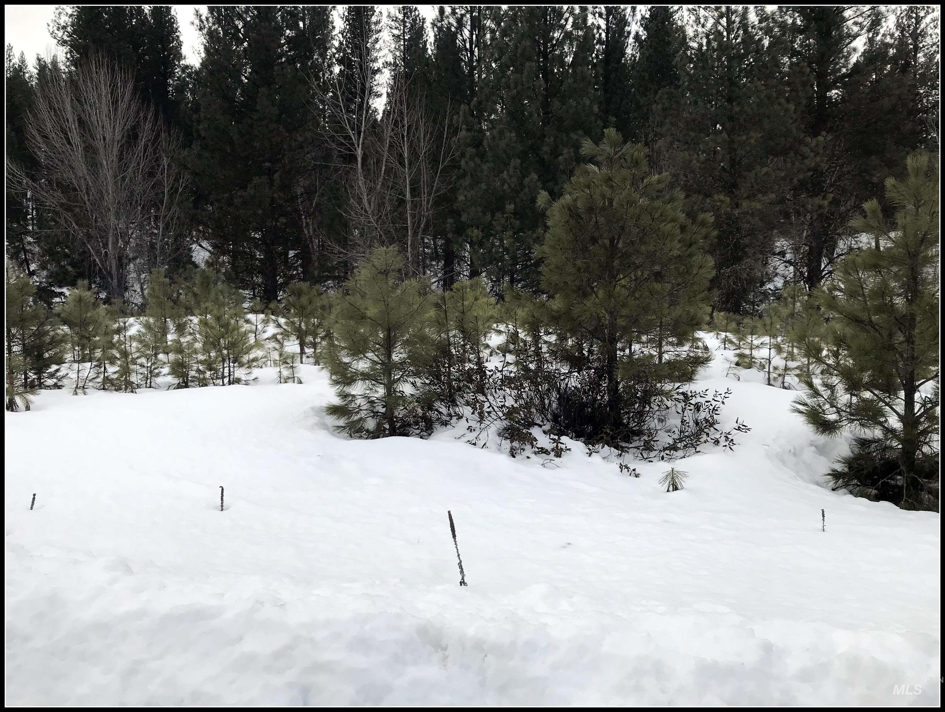 Lot 60 Lily Loop, Idaho City, Idaho 83631, Land For Sale, Price $93,990, 98944132