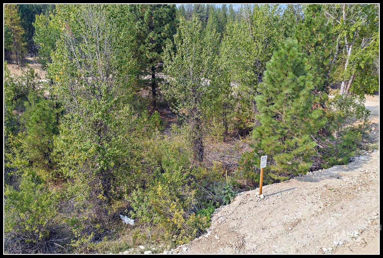 Lot 61 Lily Loop, Idaho City, Idaho 83631, Land For Sale, Price $89,990, 98944136