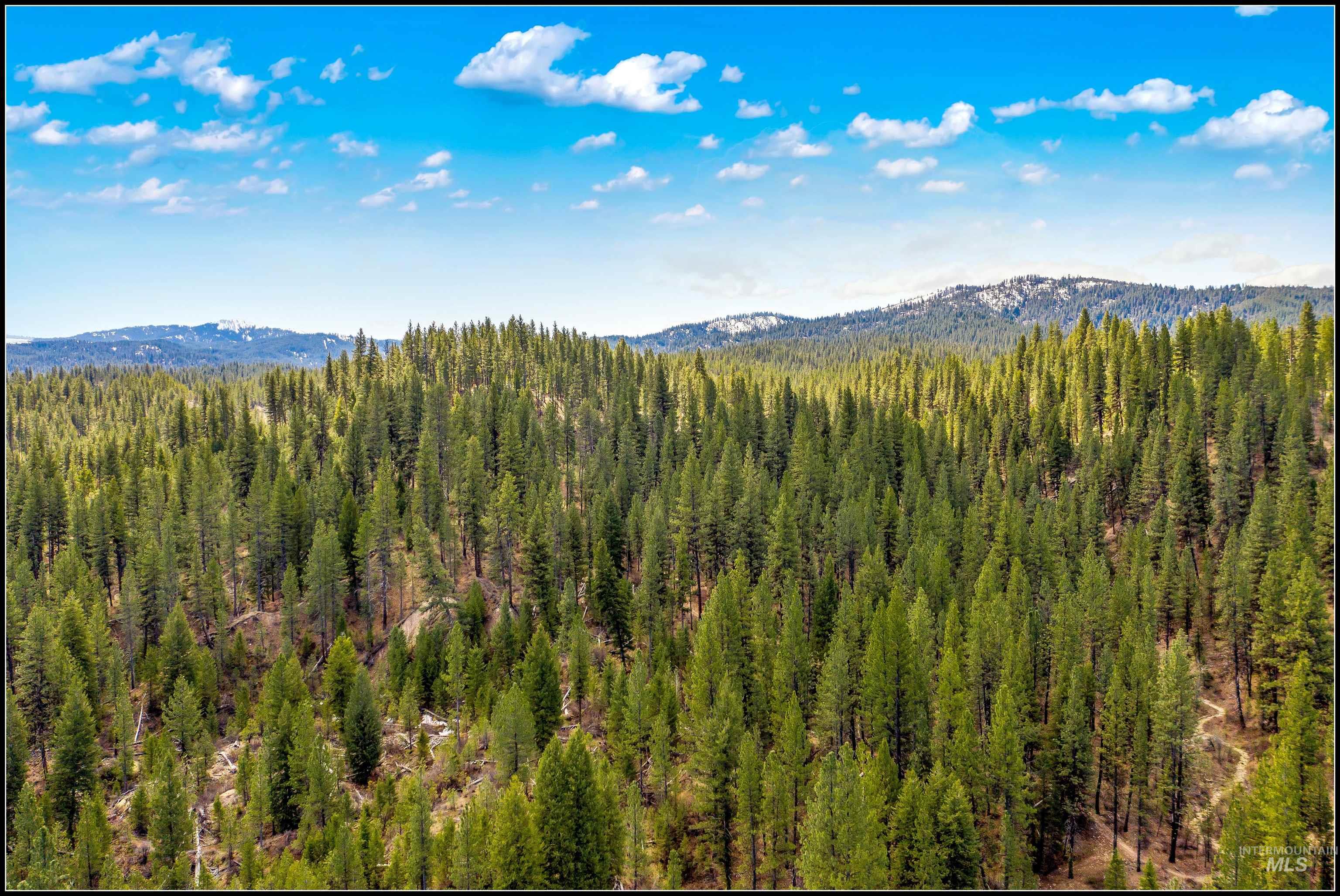 Lot 61 Lily Loop, Idaho City, Idaho 83631, Land For Sale, Price $89,990, 98944136