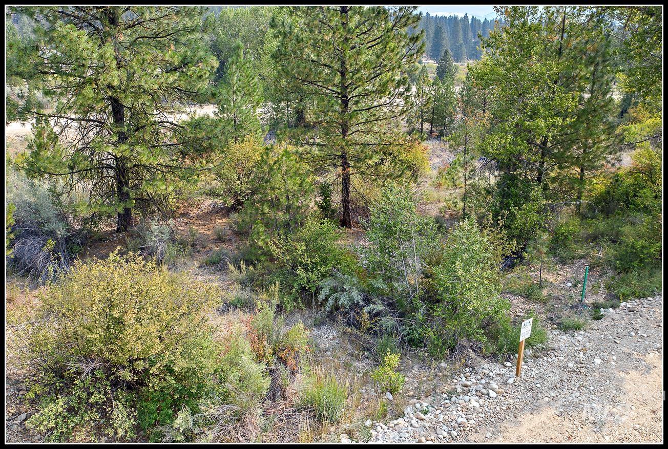 Lot 62 Mores Creek Dr, Idaho City, Idaho 83631, Land For Sale, Price $97,990, 98944138