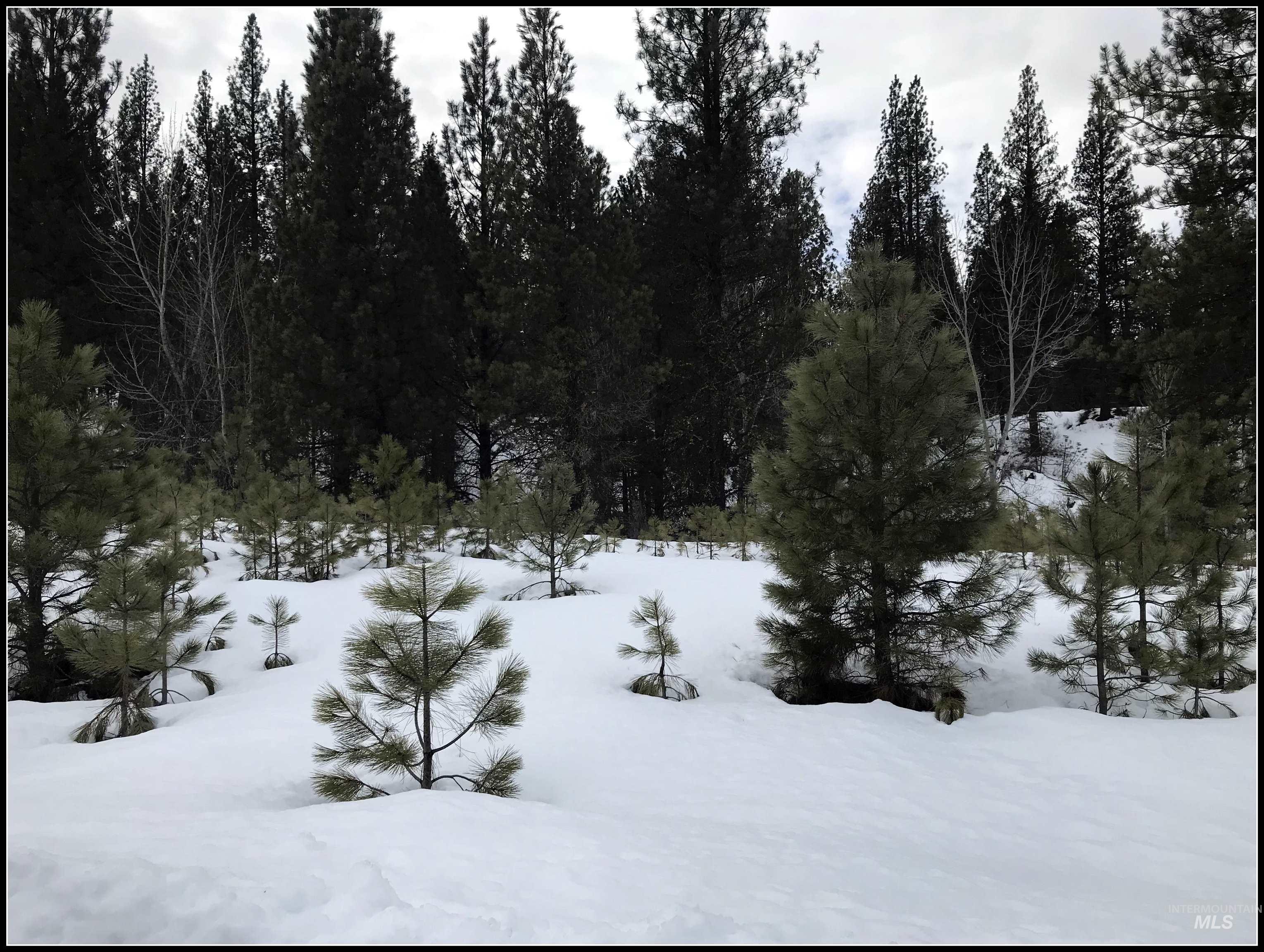 Lot 62 Mores Creek Dr, Idaho City, Idaho 83631, Land For Sale, Price $97,990, 98944138