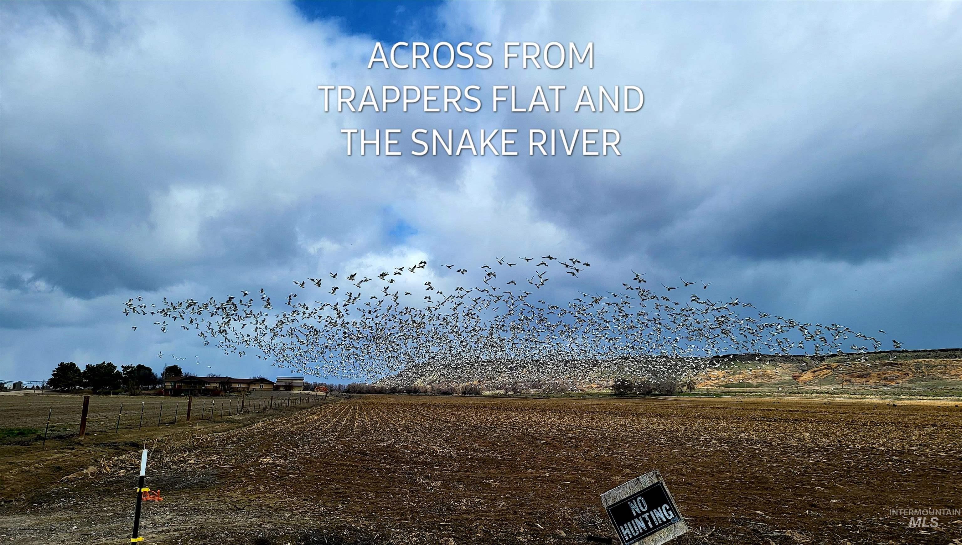 TBD Blue Fox Lane, Caldwell, Idaho 83607, Land For Sale, Price $389,000, 98944233