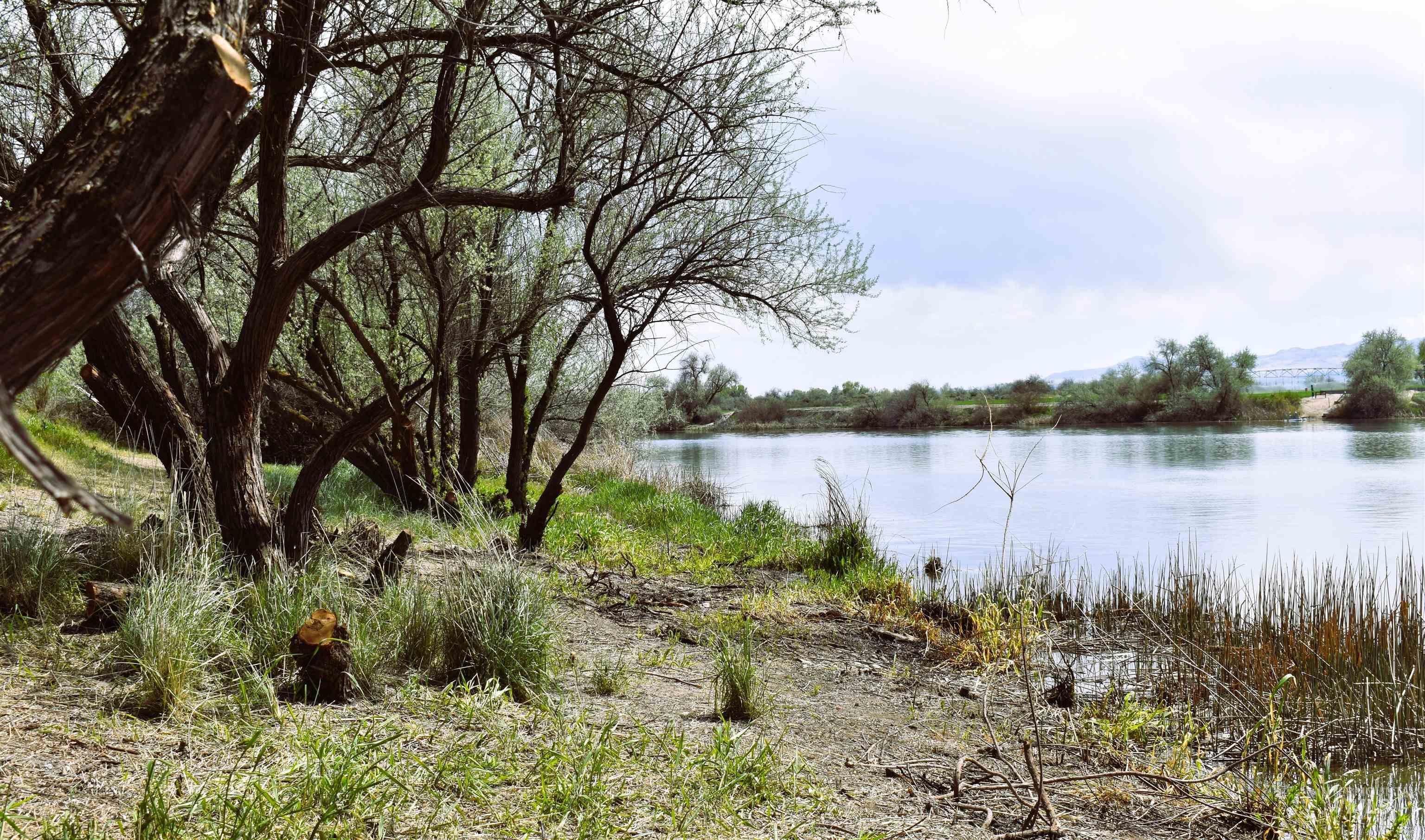 25555 Clubhouse Court, Wilder, Idaho 83676, Land For Sale, Price $577,400, 98944346