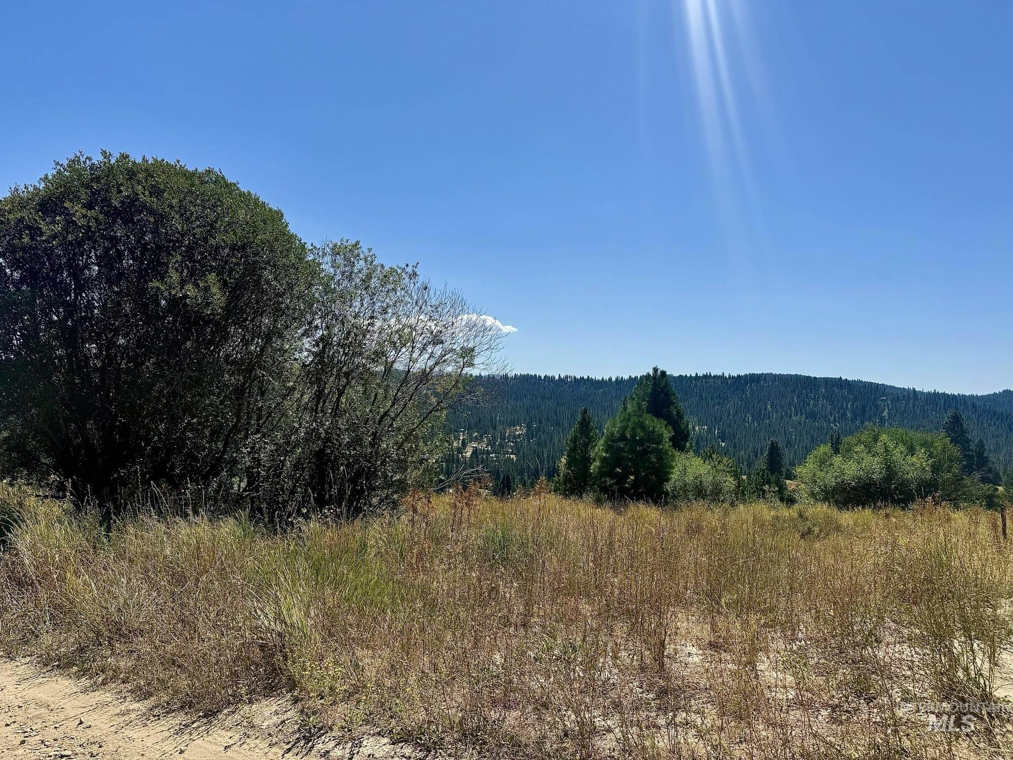 TBD Gold Fork Ridge Rd, Boise, Idaho 83716, Land For Sale, Price $100,000, 98944705