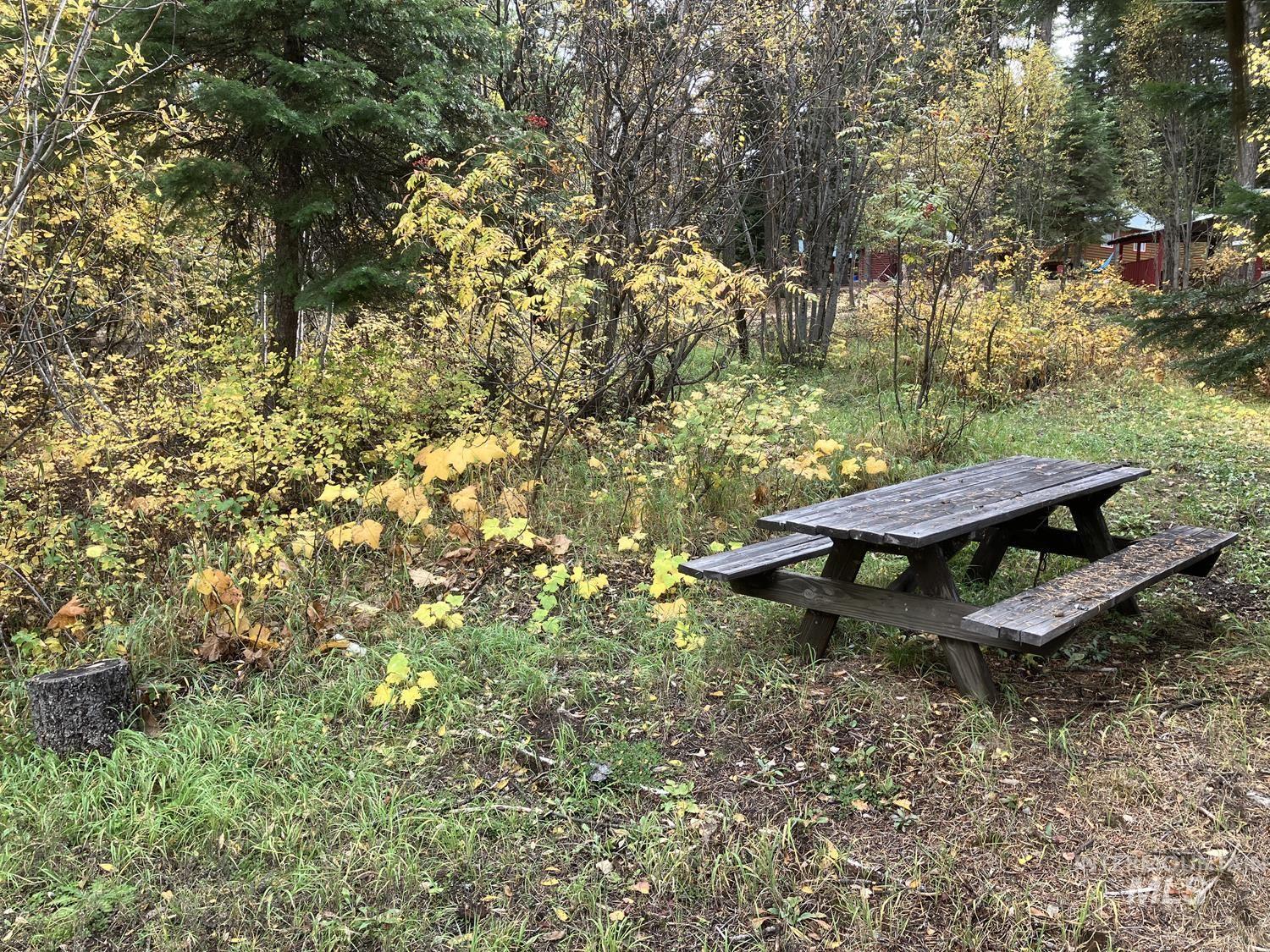 534 Brenda Drive, Cascade, Idaho 83611, Land For Sale, Price $95,500, 98944772