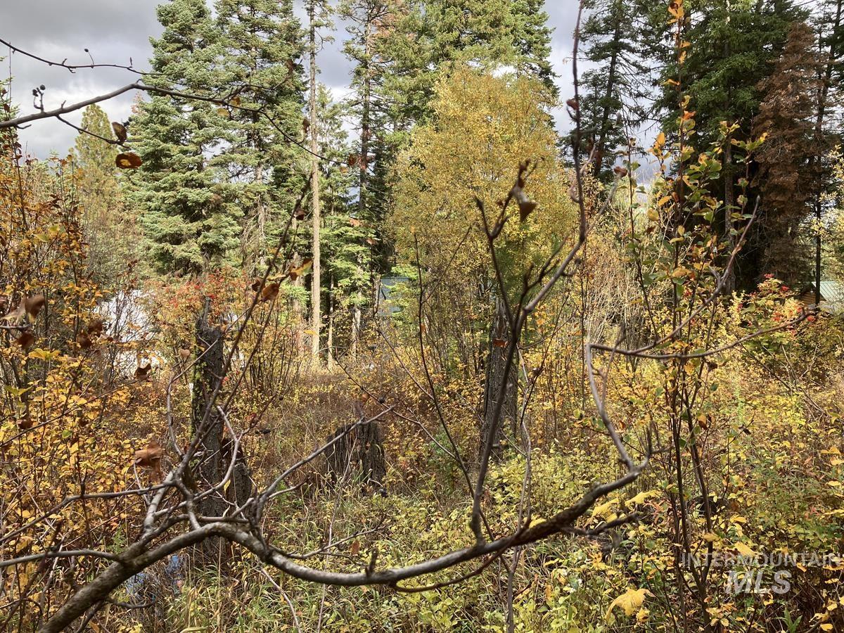 534 Brenda Drive, Cascade, Idaho 83611, Land For Sale, Price $95,500, 98944772
