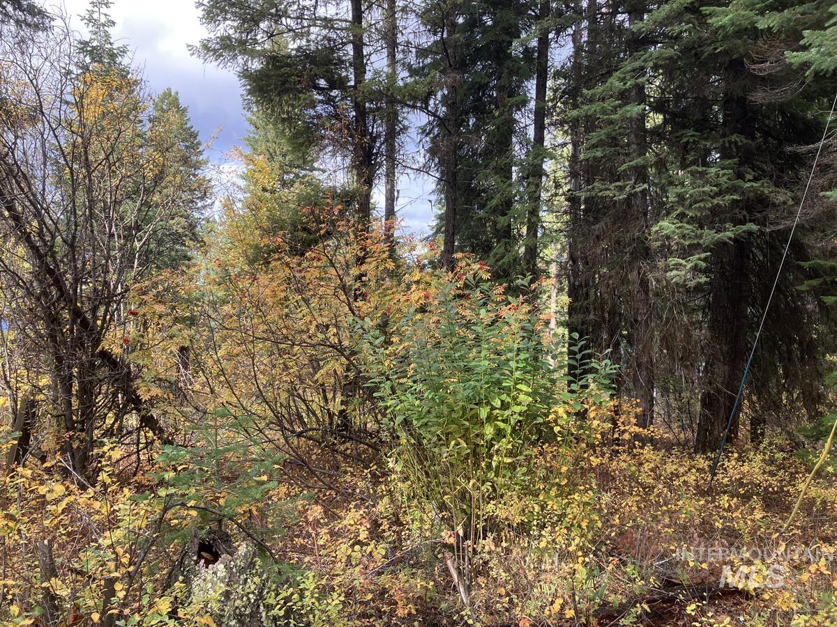 534 Brenda Drive, Cascade, Idaho 83611, Land For Sale, Price $95,500, 98944772