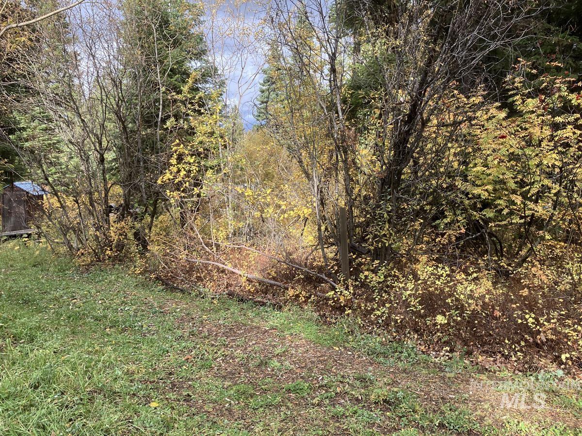 534 Brenda Drive, Cascade, Idaho 83611, Land For Sale, Price $95,500, 98944772