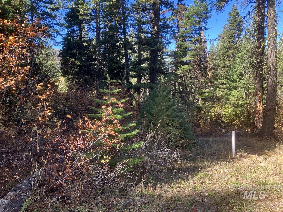 541 West Mountain Road, Cascade, Idaho 83611, Land For Sale, Price $95,500, 98944779