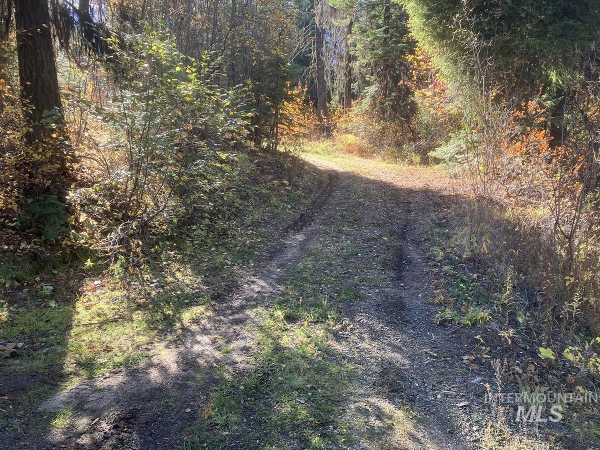 541 West Mountain Road, Cascade, Idaho 83611, Land For Sale, Price $95,500, 98944779
