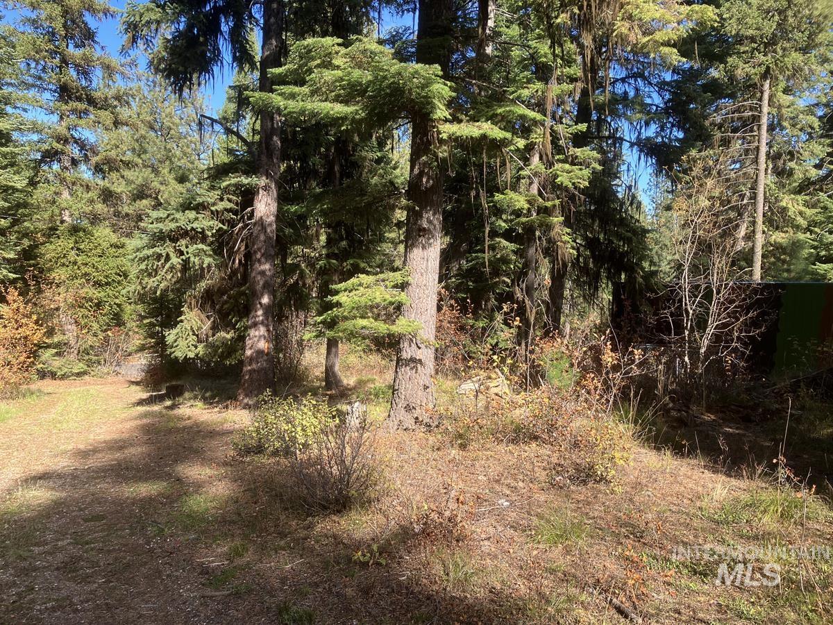541 West Mountain Road, Cascade, Idaho 83611, Land For Sale, Price $95,500, 98944779