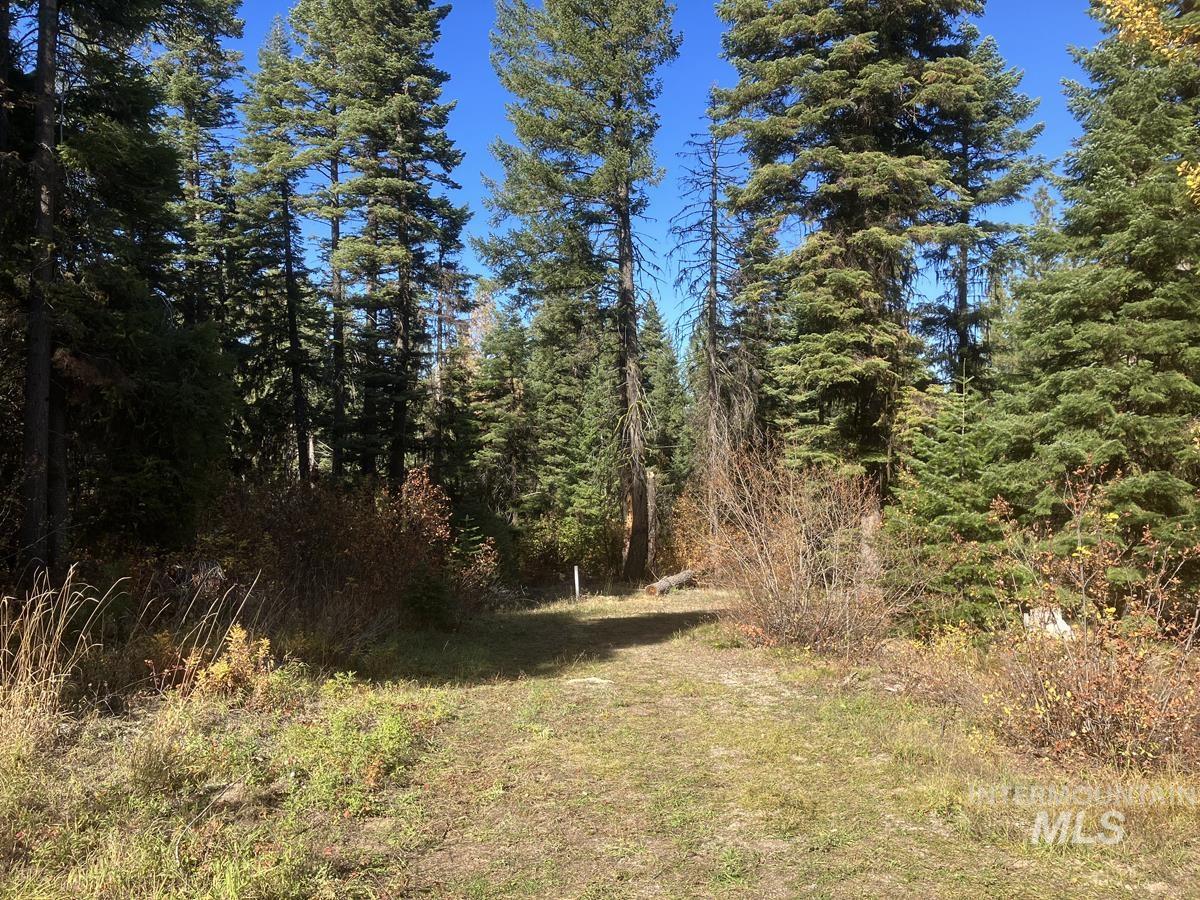 541 West Mountain Road, Cascade, Idaho 83611, Land For Sale, Price $95,500, 98944779