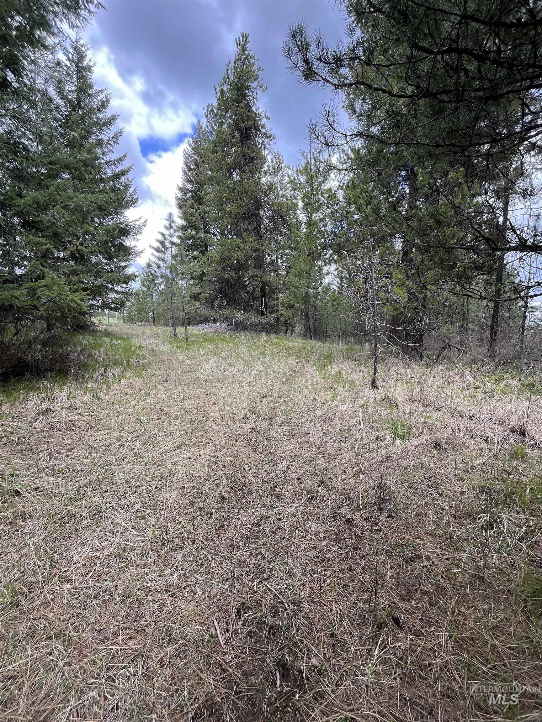 TBD HWY 3, Deary, Idaho 83823, Land For Sale, Price $125,000, 98944810