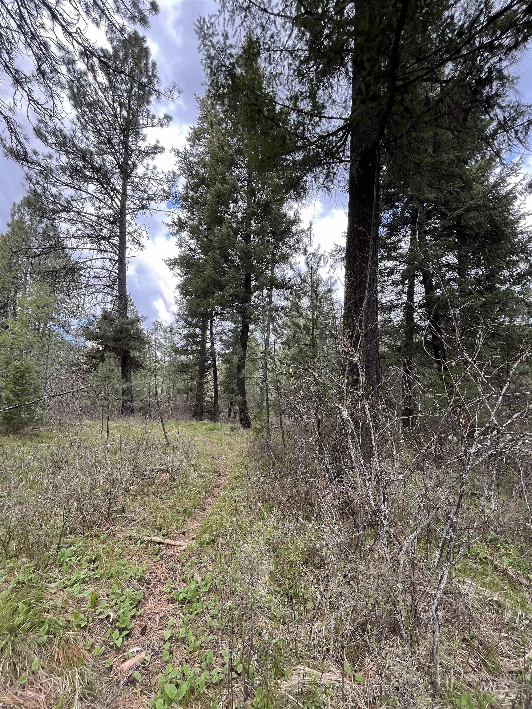 TBD HWY 3, Deary, Idaho 83823, Land For Sale, Price $125,000, 98944810