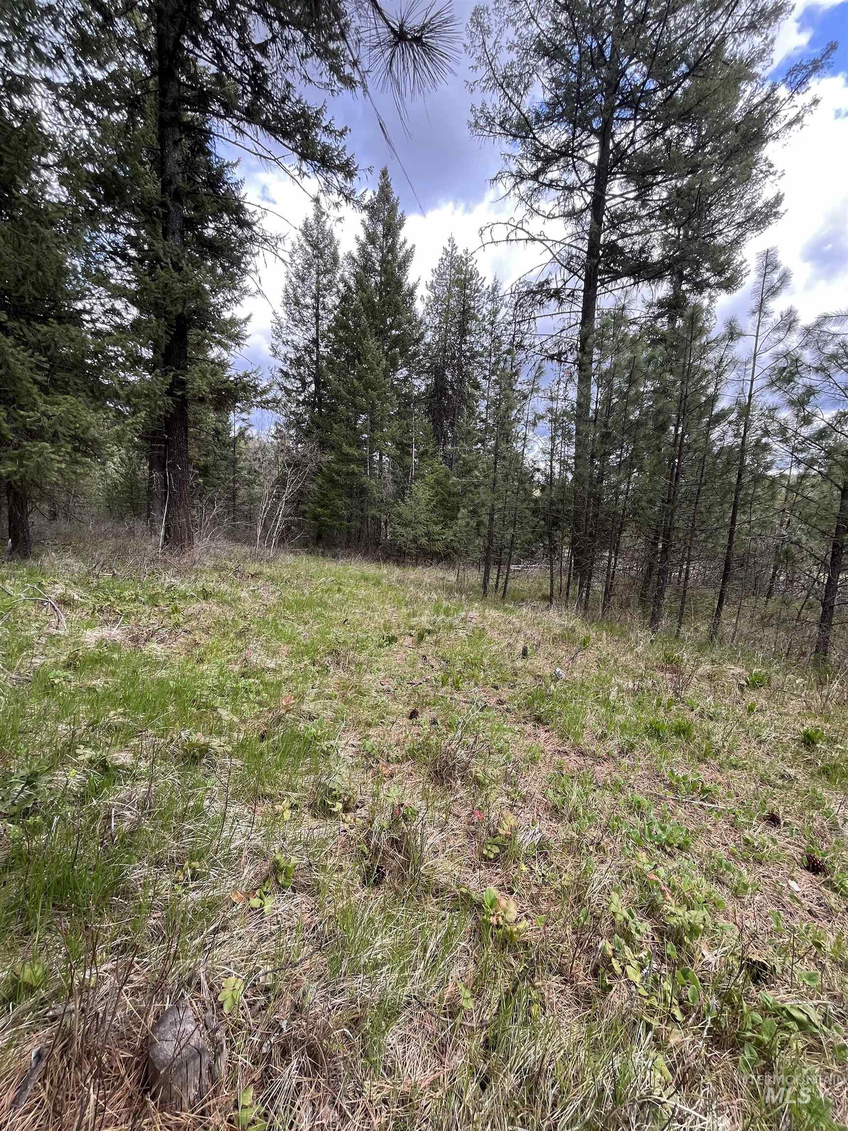 TBD HWY 3, Deary, Idaho 83823, Land For Sale, Price $125,000, 98944810