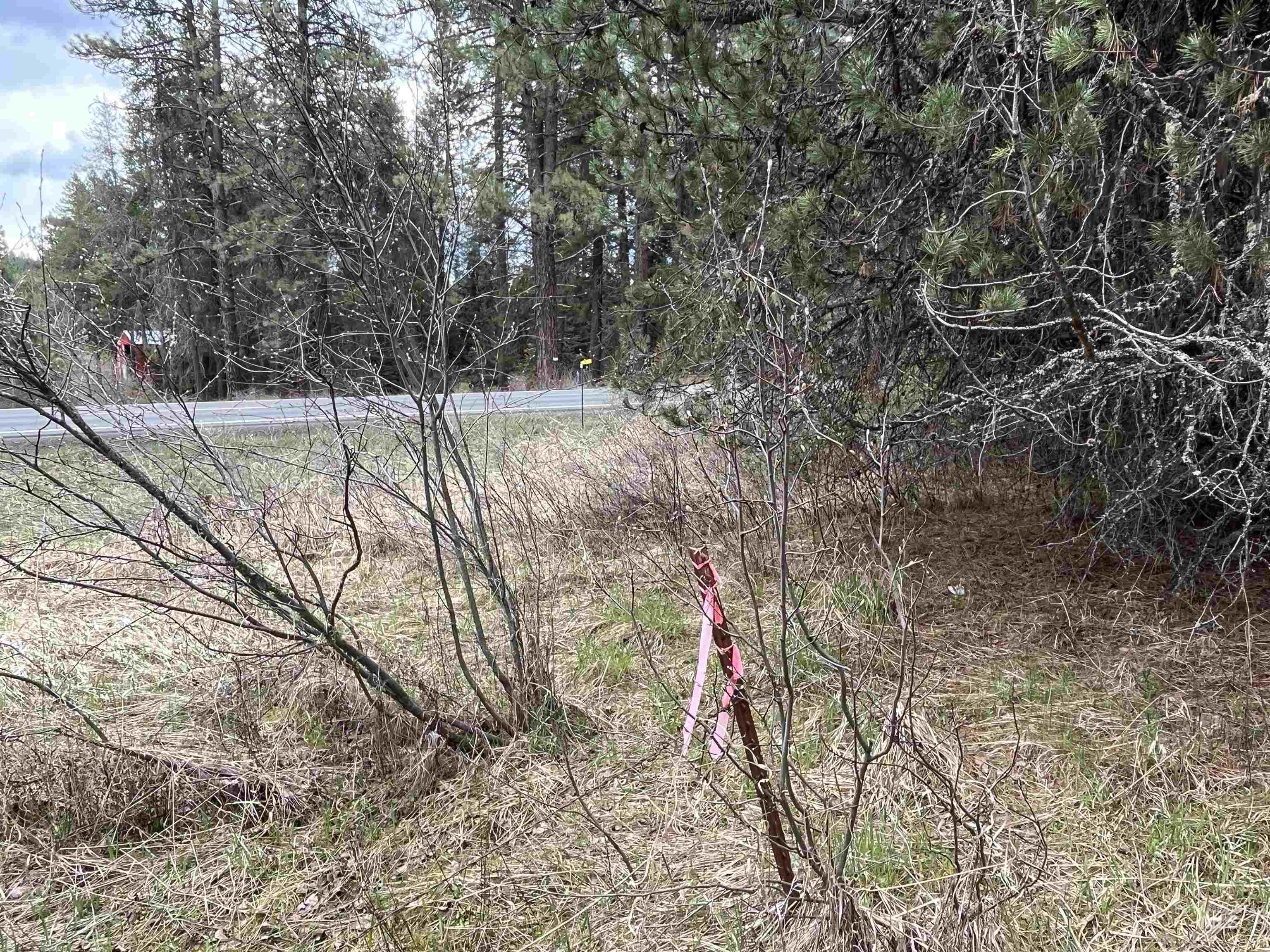 TBD HWY 3, Deary, Idaho 83823, Land For Sale, Price $125,000, 98944810