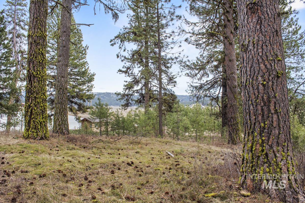 L1 B3 Opal Drive, High Valley, Idaho 83611, Land For Sale, Price $214,950, 98944880