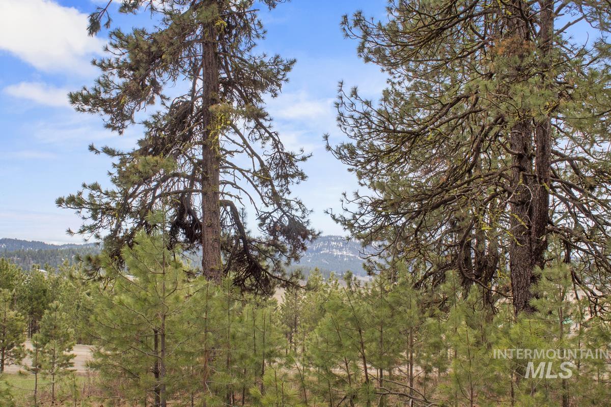 L1 B3 Opal Drive, High Valley, Idaho 83611, Land For Sale, Price $214,950, 98944880