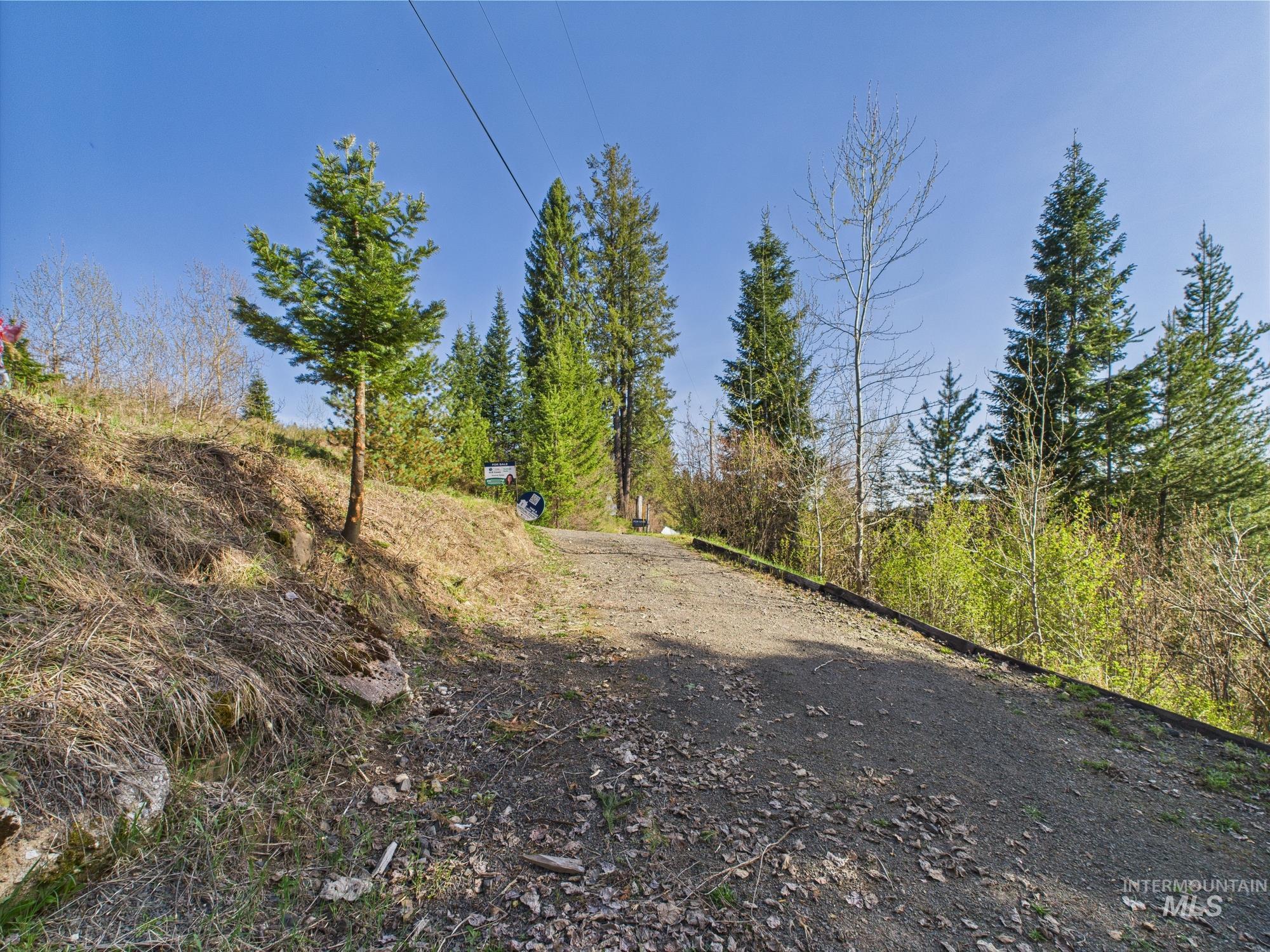 121 court st, Pierce, Idaho 83546, 2 Bedrooms, 1 Bathroom, Residential For Sale, Price $110,000, 98944968