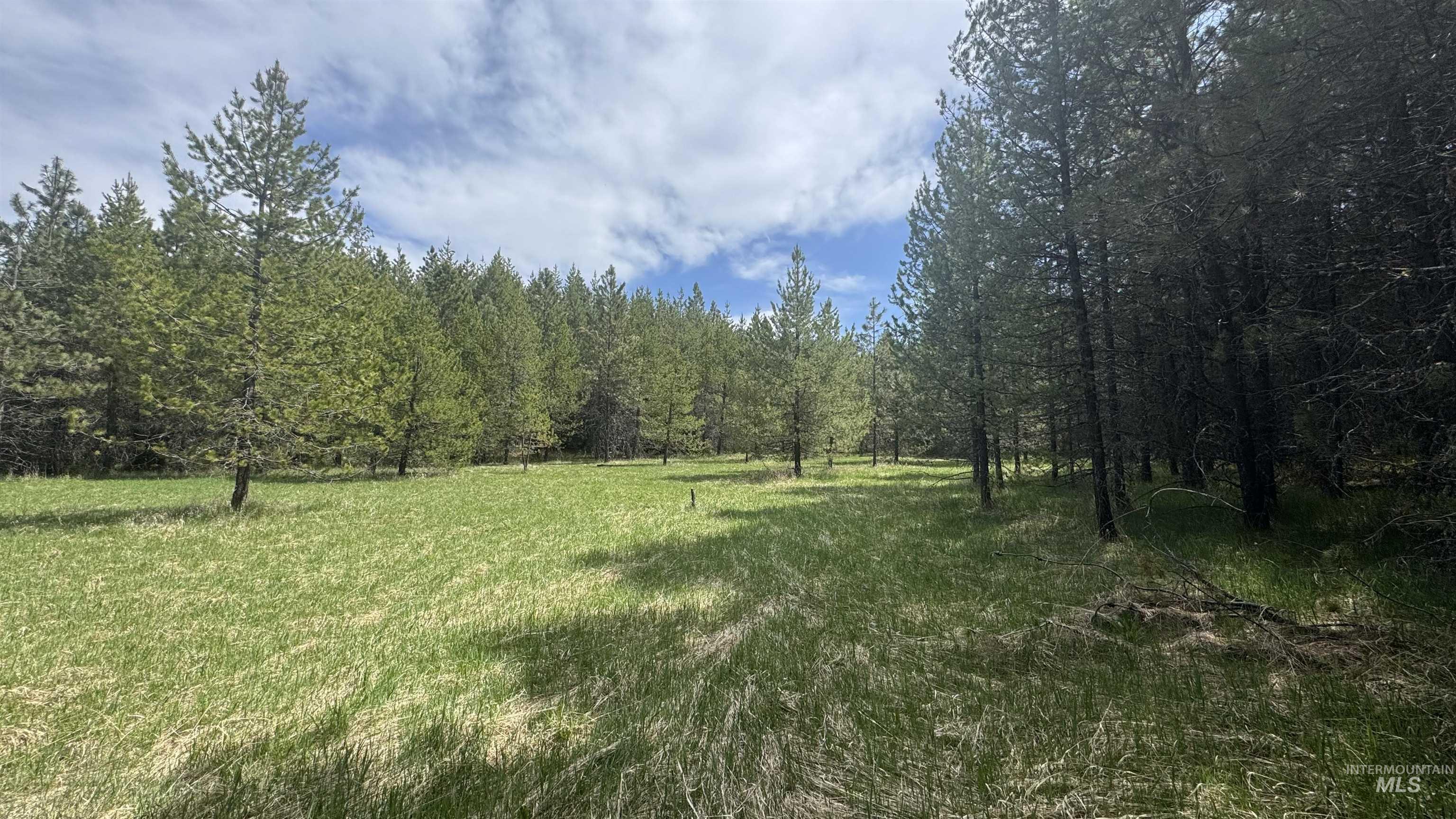 TBD Parcel 17-Bandmill Heights, Orofino, Idaho 83554, Land For Sale, Price $235,400, 98944985