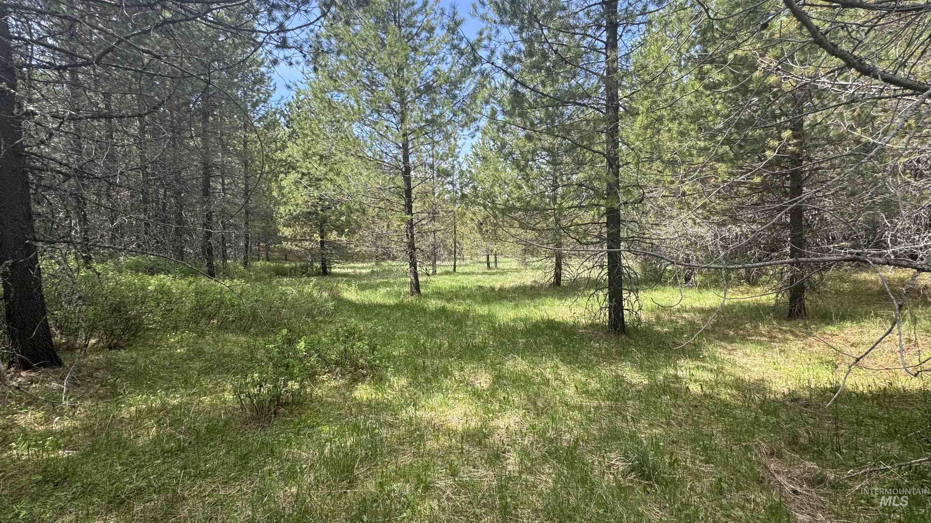 TBD Parcel 17-Bandmill Heights, Orofino, Idaho 83554, Land For Sale, Price $235,400, 98944985