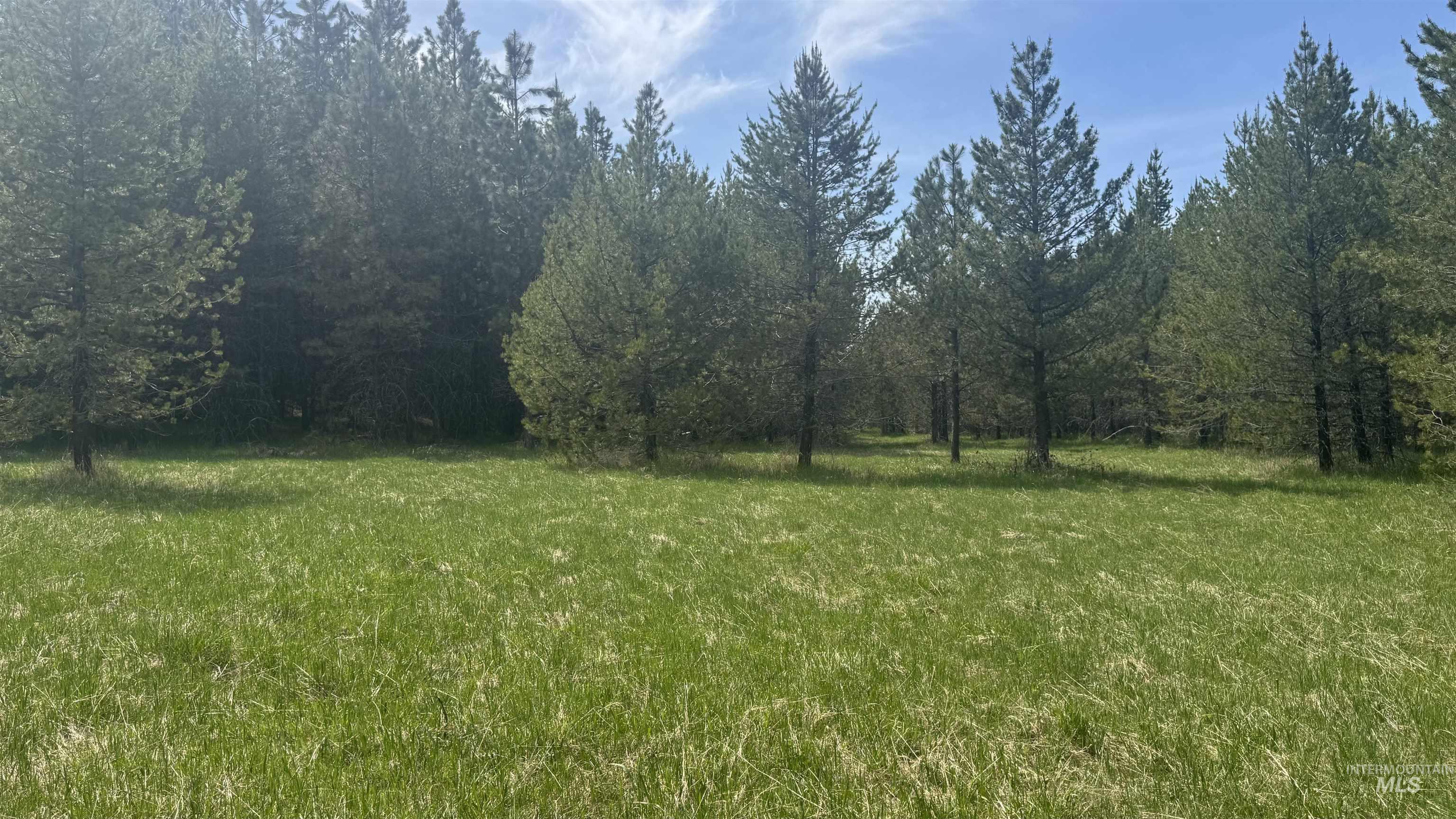 TBD Parcel 17-Bandmill Heights, Orofino, Idaho 83554, Land For Sale, Price $235,400, 98944985