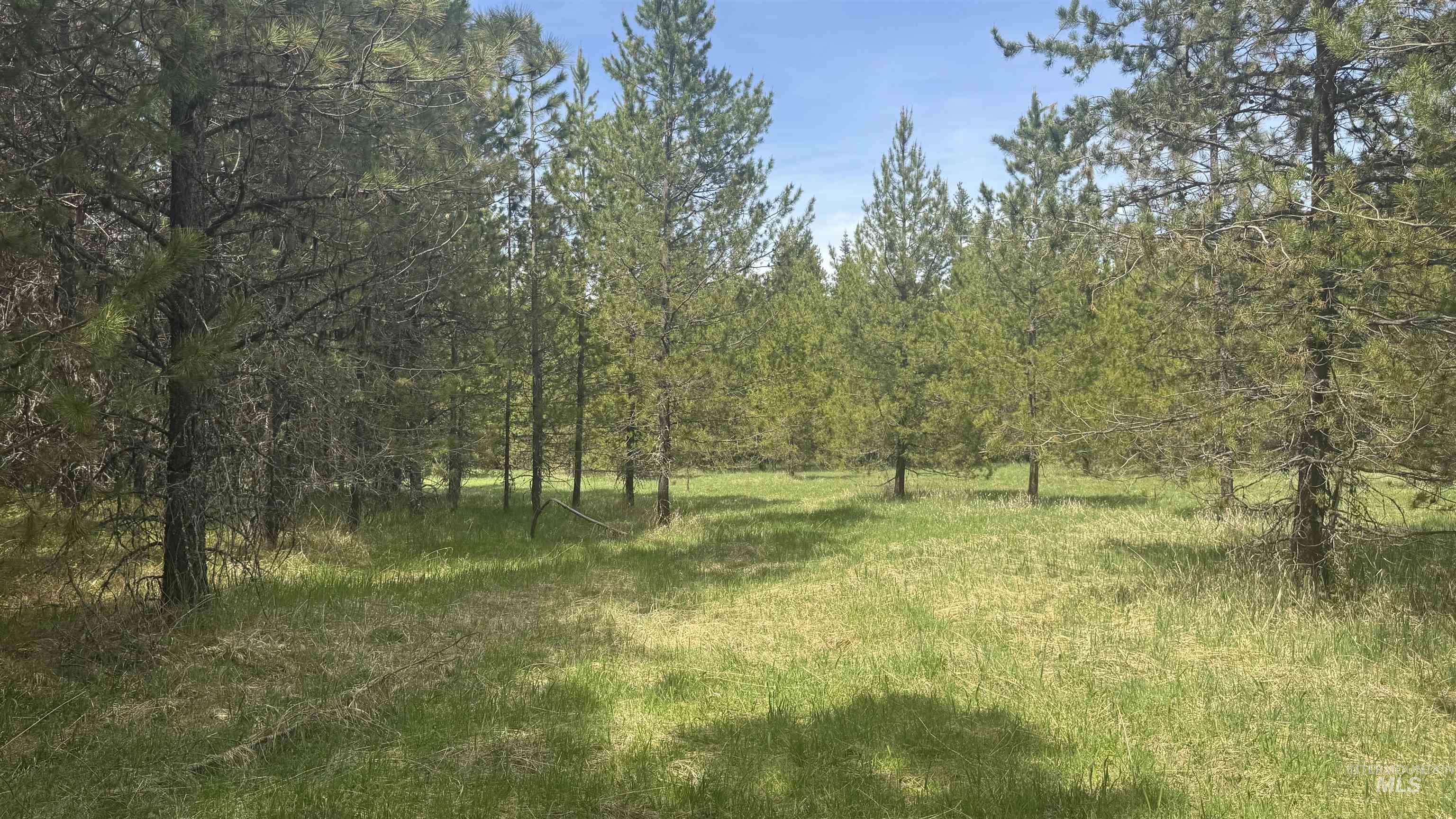 TBD Parcel 17-Bandmill Heights, Orofino, Idaho 83554, Land For Sale, Price $235,400, 98944985