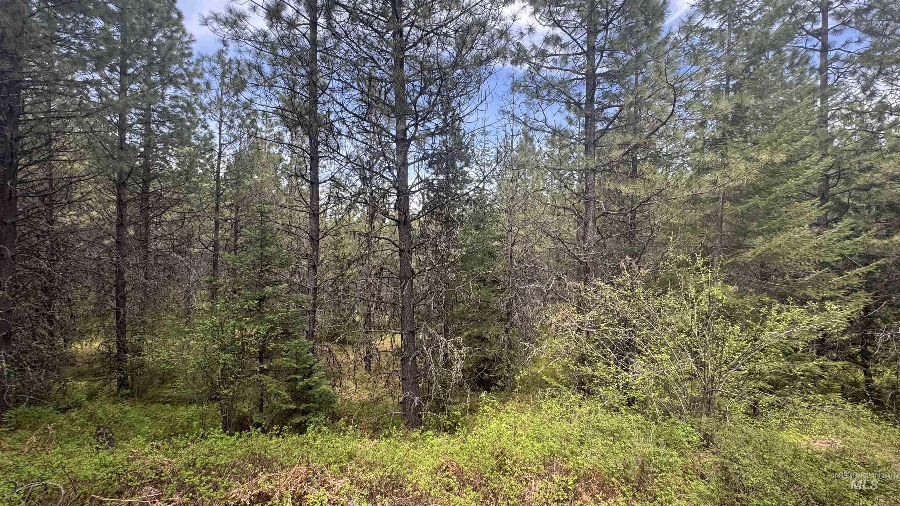 TBD Parcel 17-Bandmill Heights, Orofino, Idaho 83554, Land For Sale, Price $235,400, 98944985