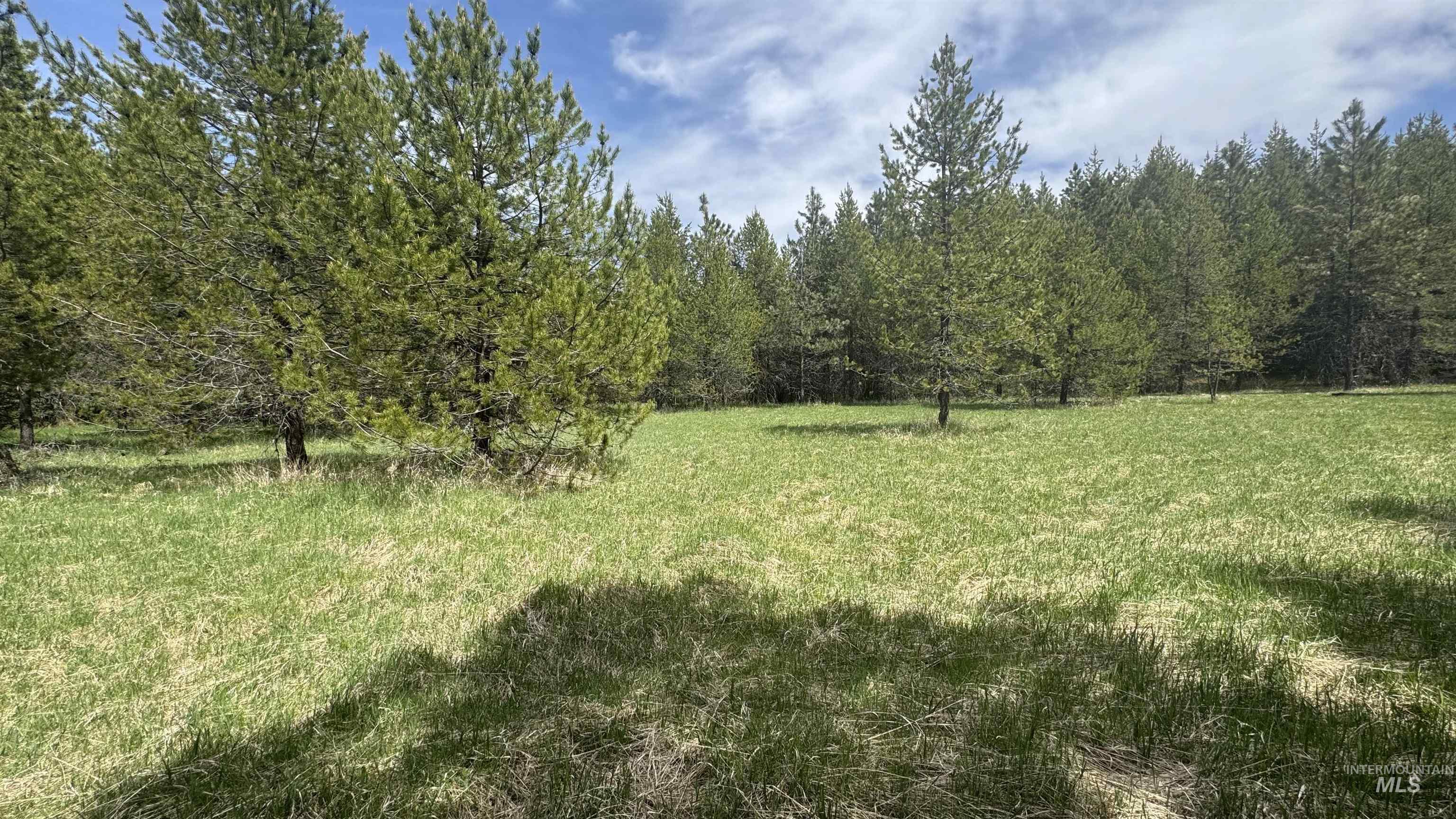 TBD Parcel 17-Bandmill Heights, Orofino, Idaho 83554, Land For Sale, Price $235,400, 98944985